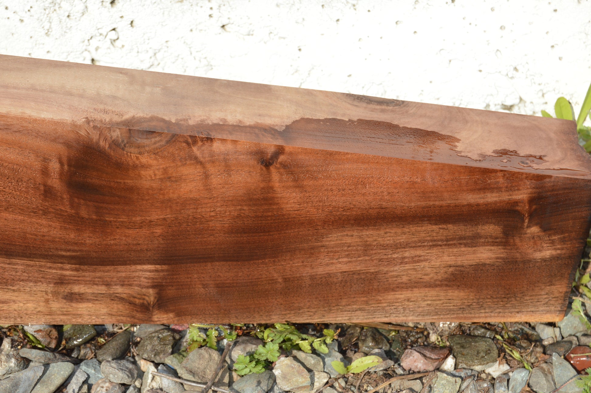 Claro Walnut Gunstock Blank CLAGUN28