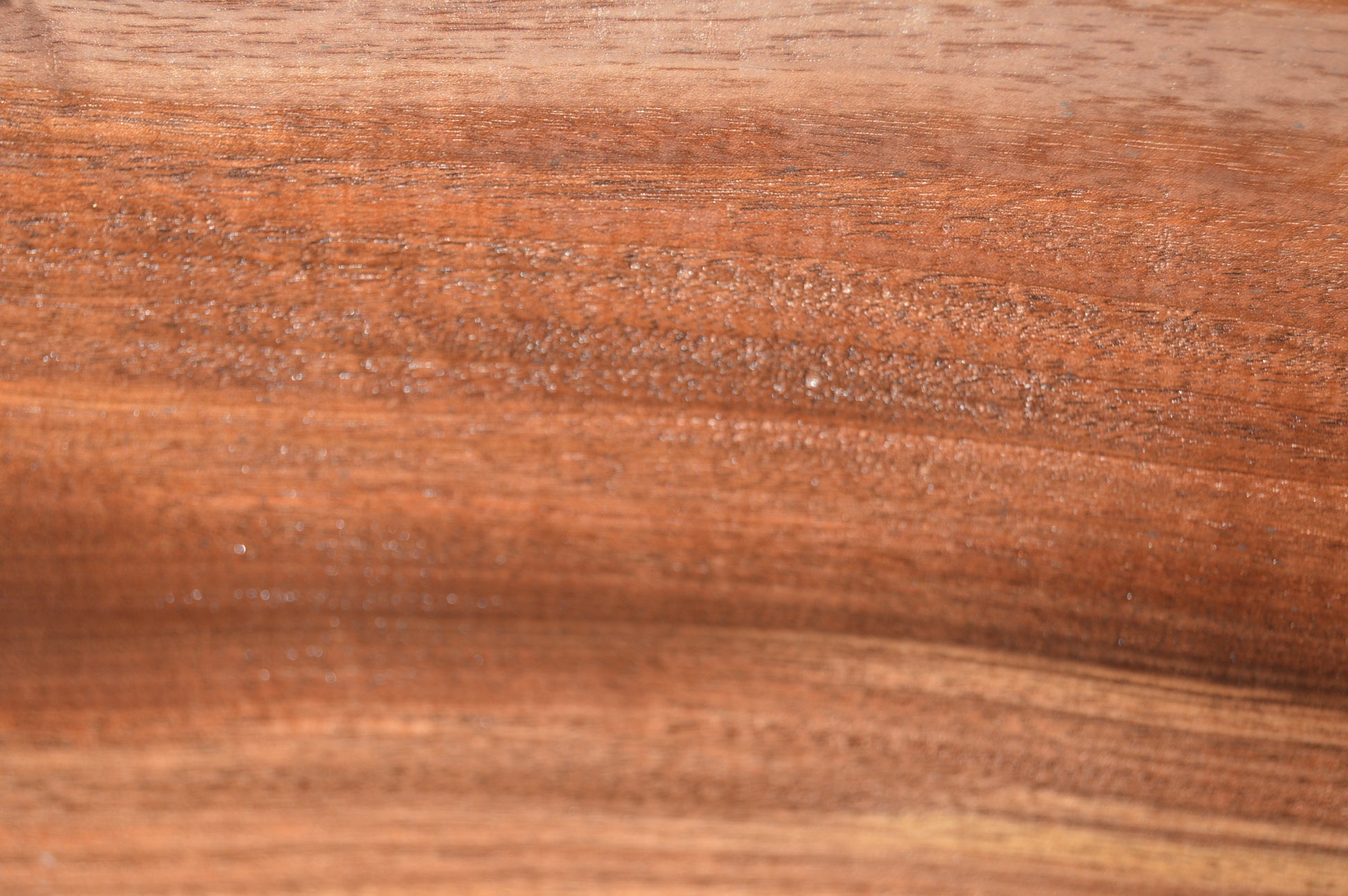 Claro Walnut Gunstock Blank CLAGUN28