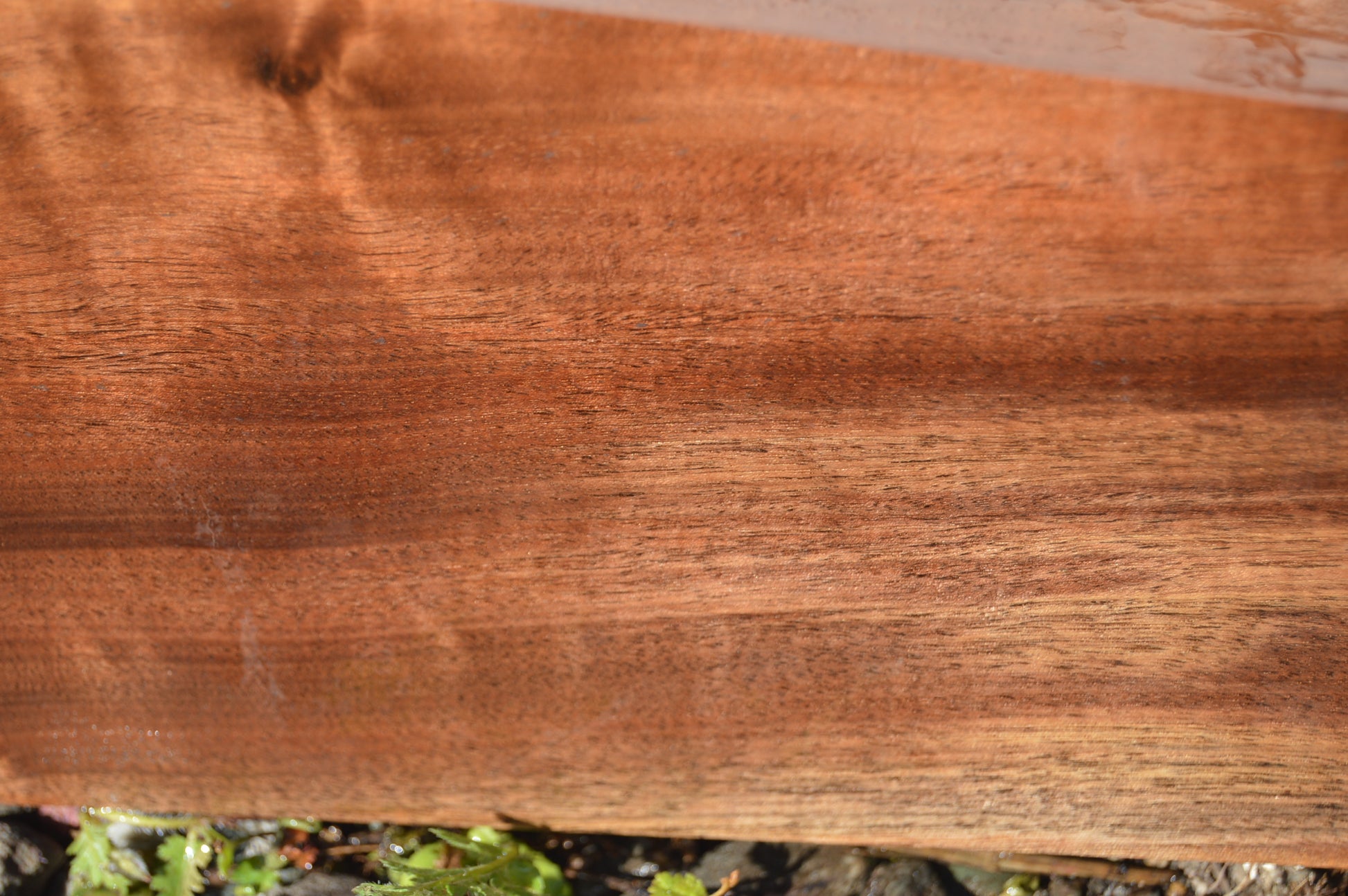 Claro Walnut Gunstock Blank CLAGUN28