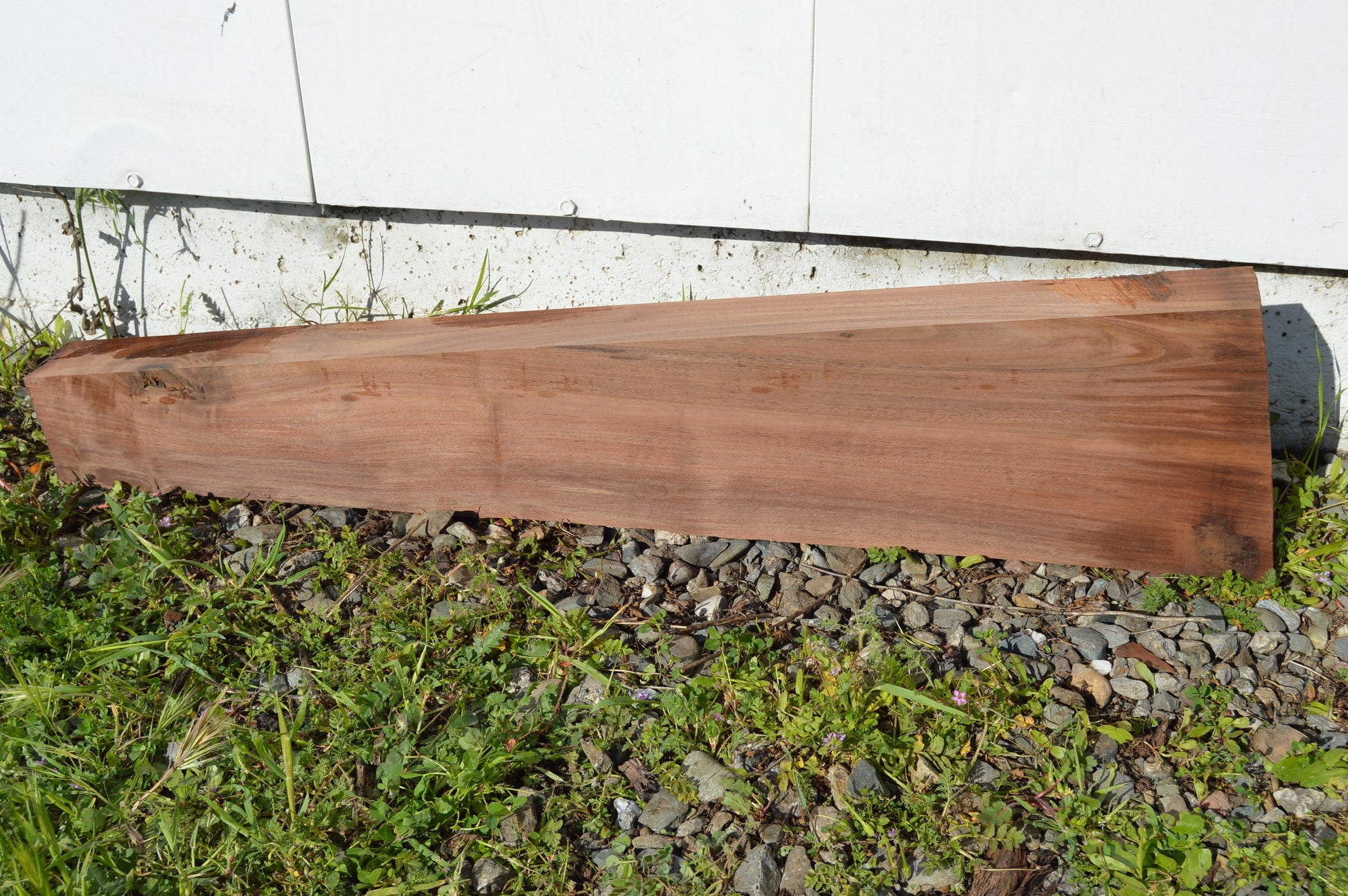 Claro Walnut Gunstock Blank CLAGUN28