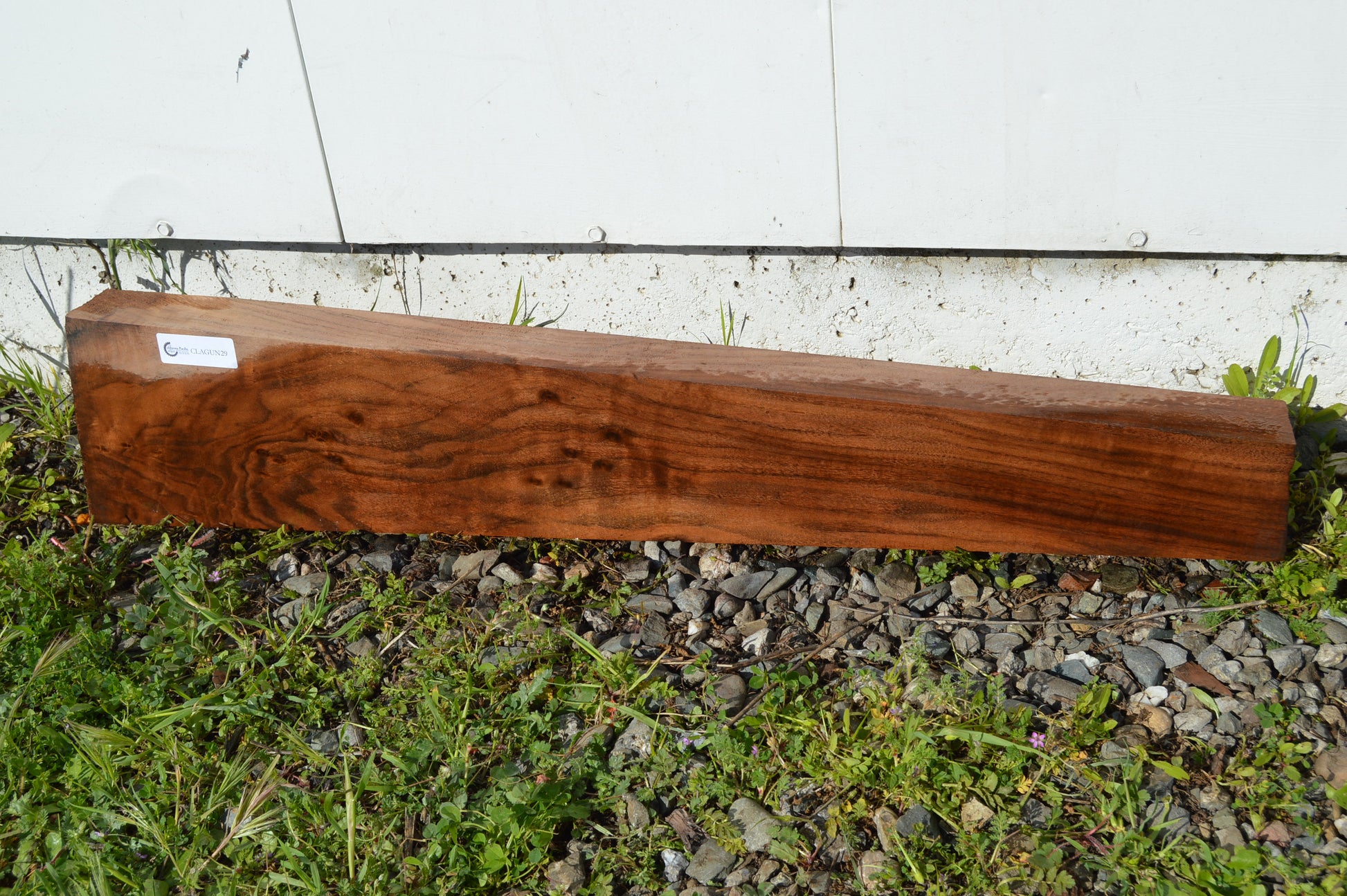 Claro Walnut Gunstock Blank CLAGUN29