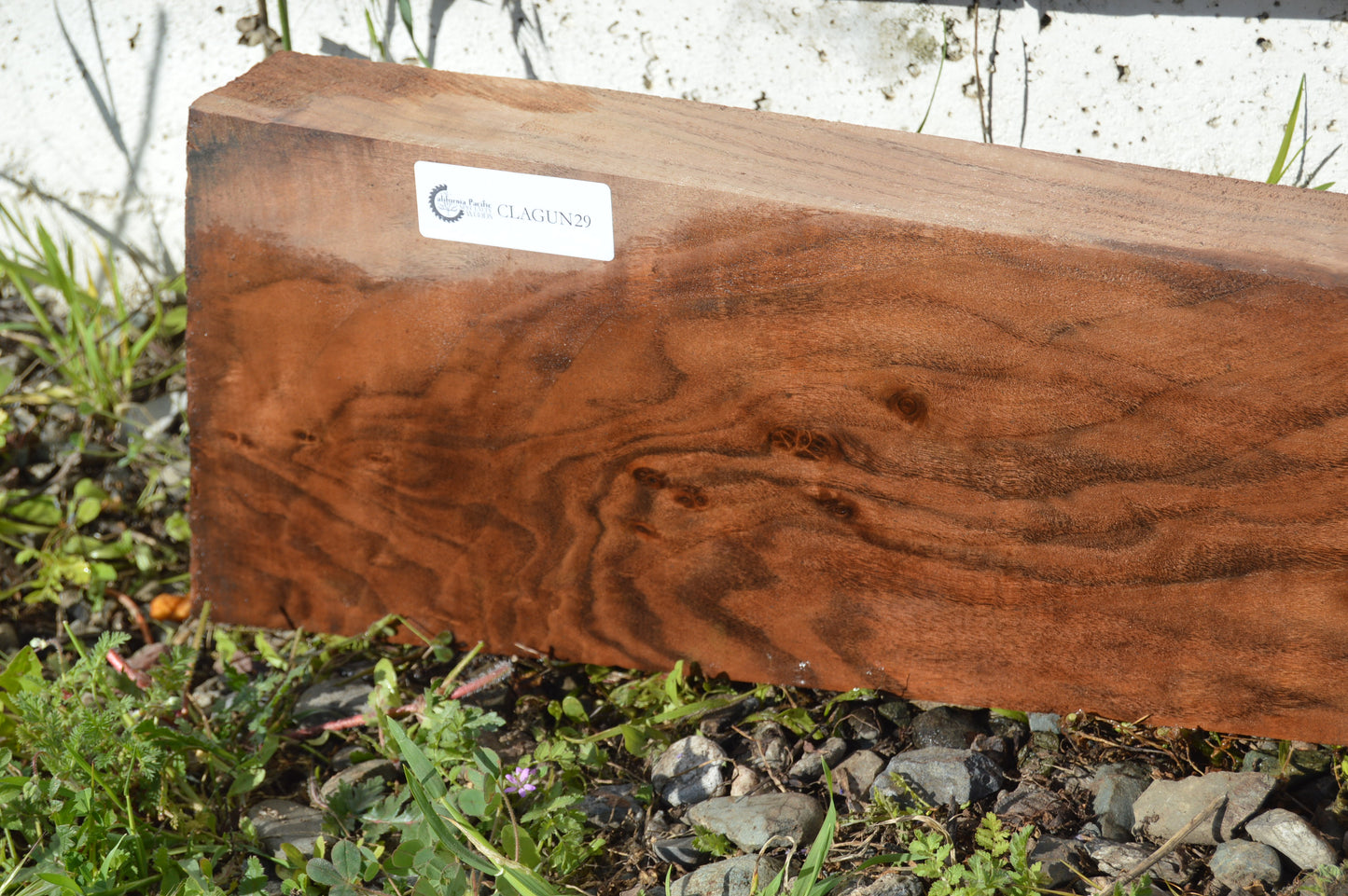 Claro Walnut Gunstock Blank CLAGUN29