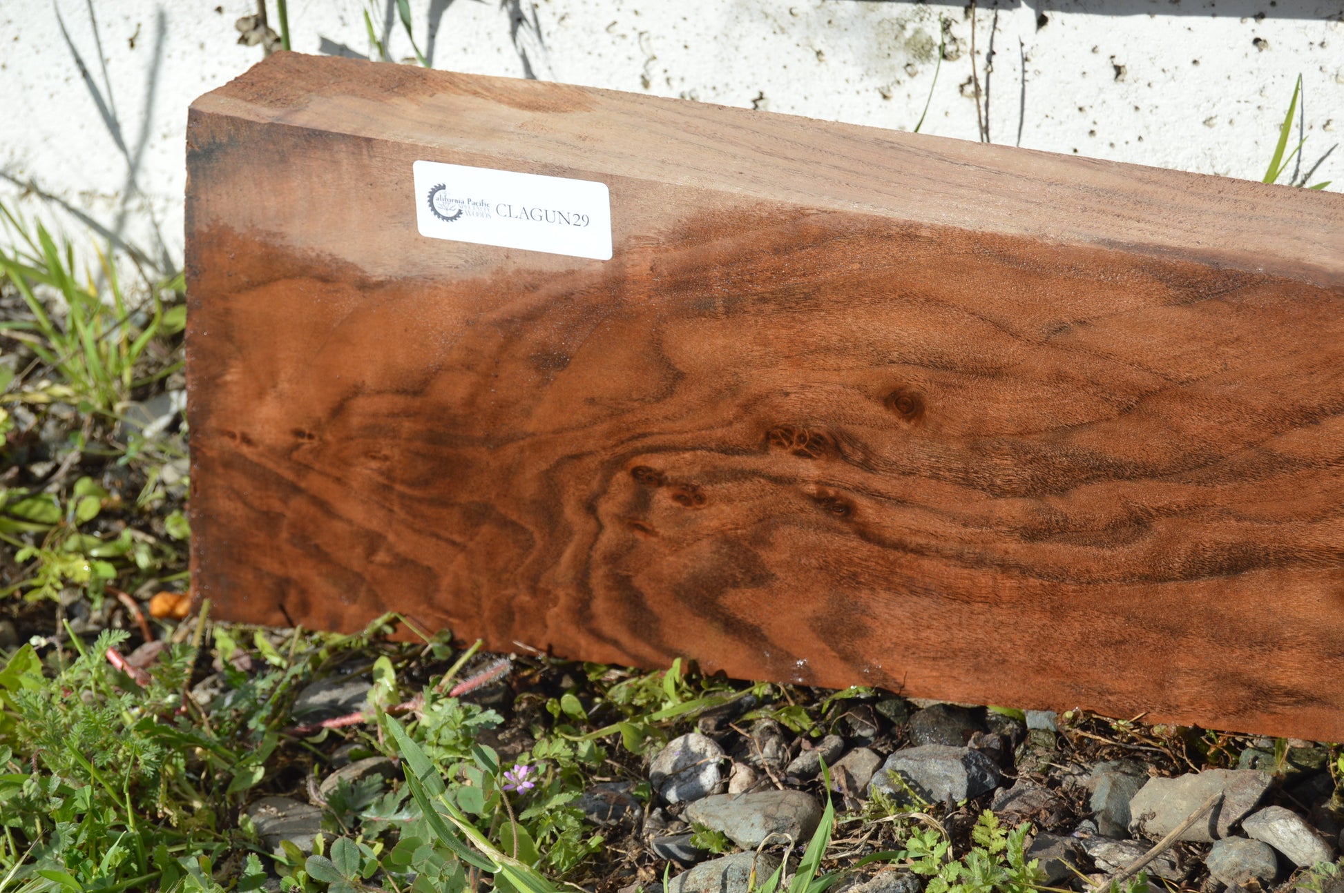 Claro Walnut Gunstock Blank CLAGUN29