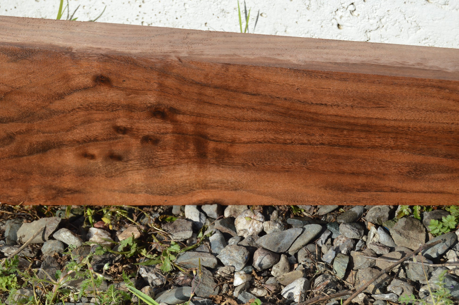 Claro Walnut Gunstock Blank CLAGUN29