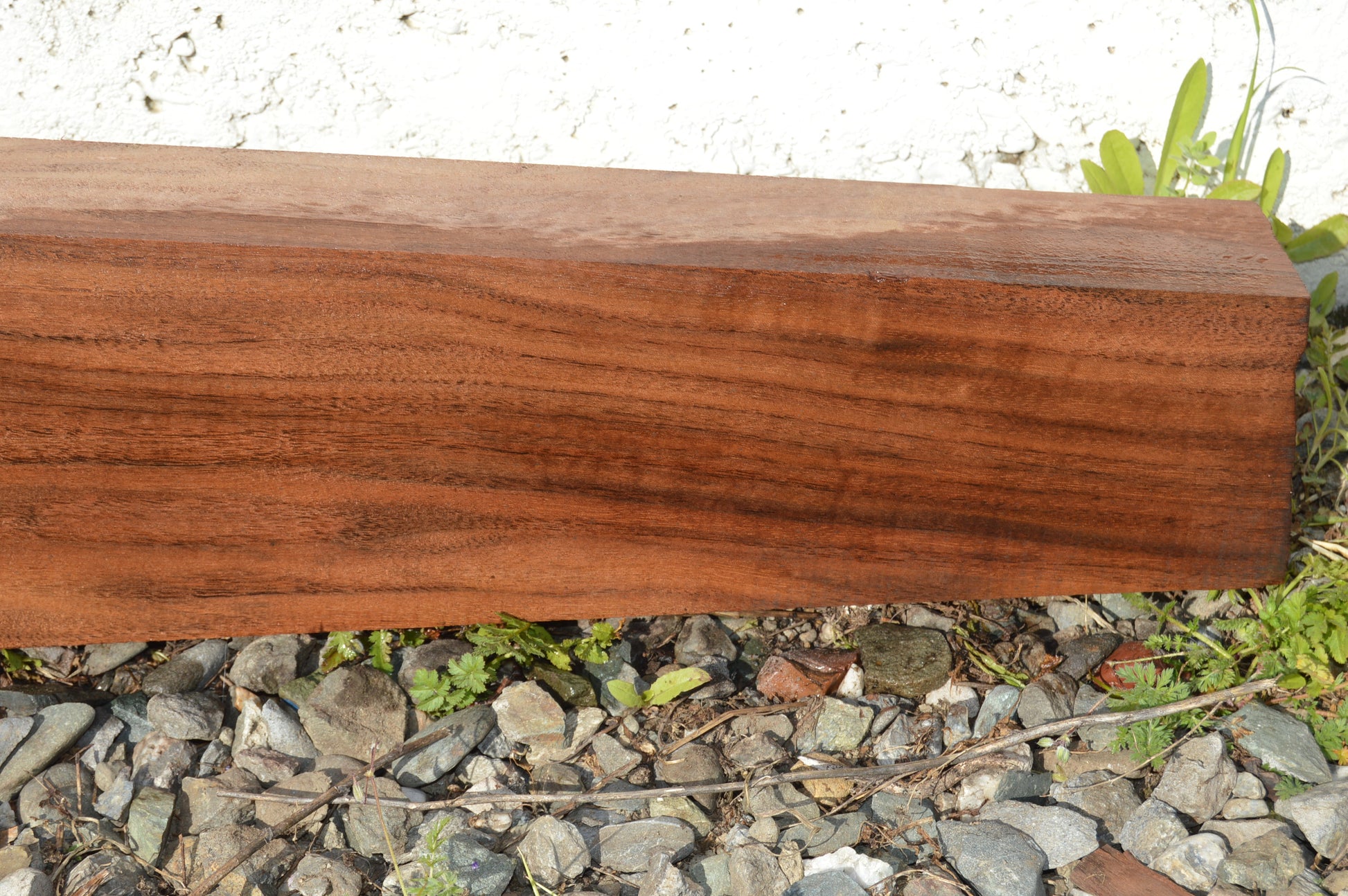 Claro Walnut Gunstock Blank CLAGUN29