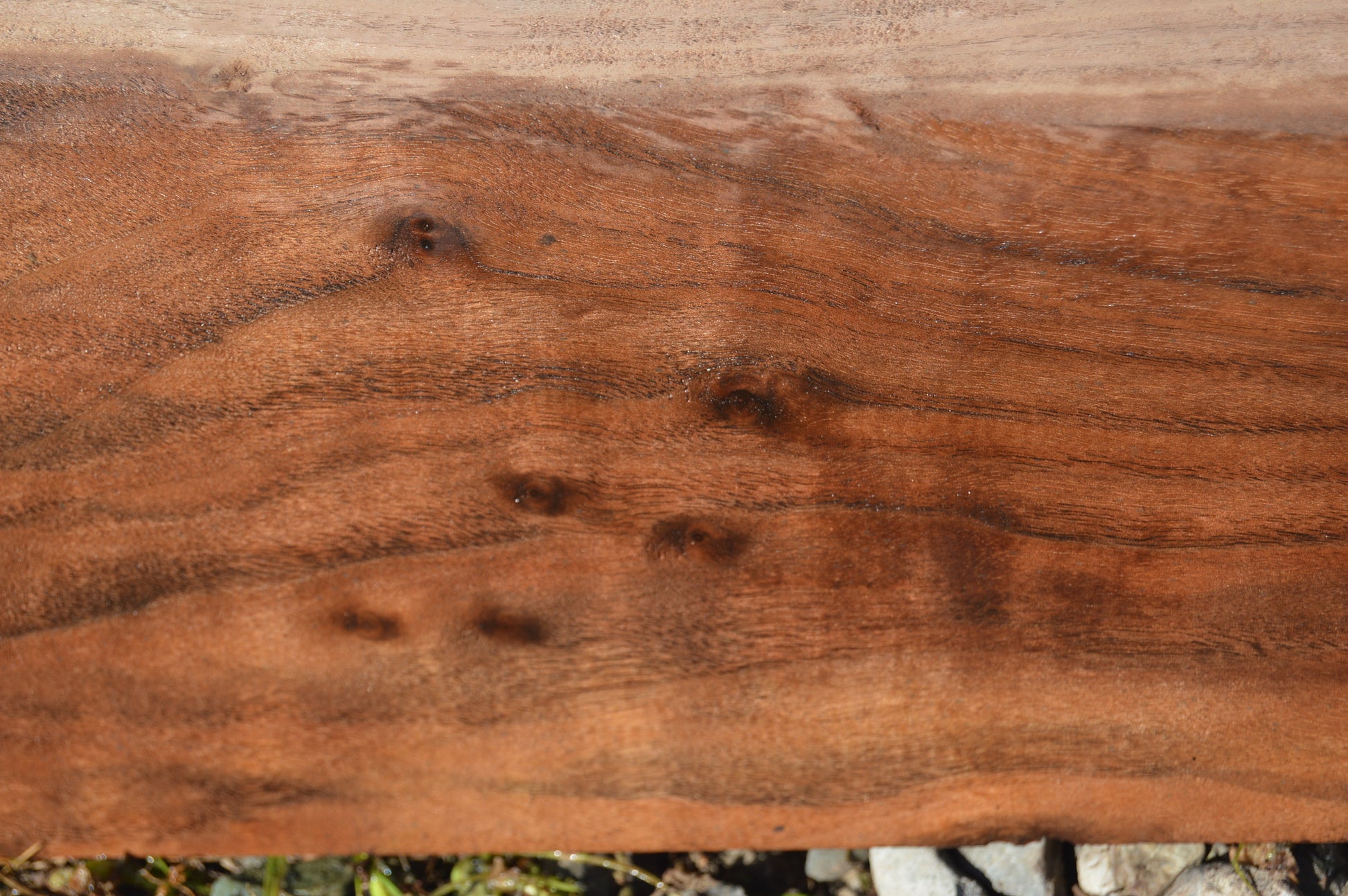 Claro Walnut Gunstock Blank CLAGUN29