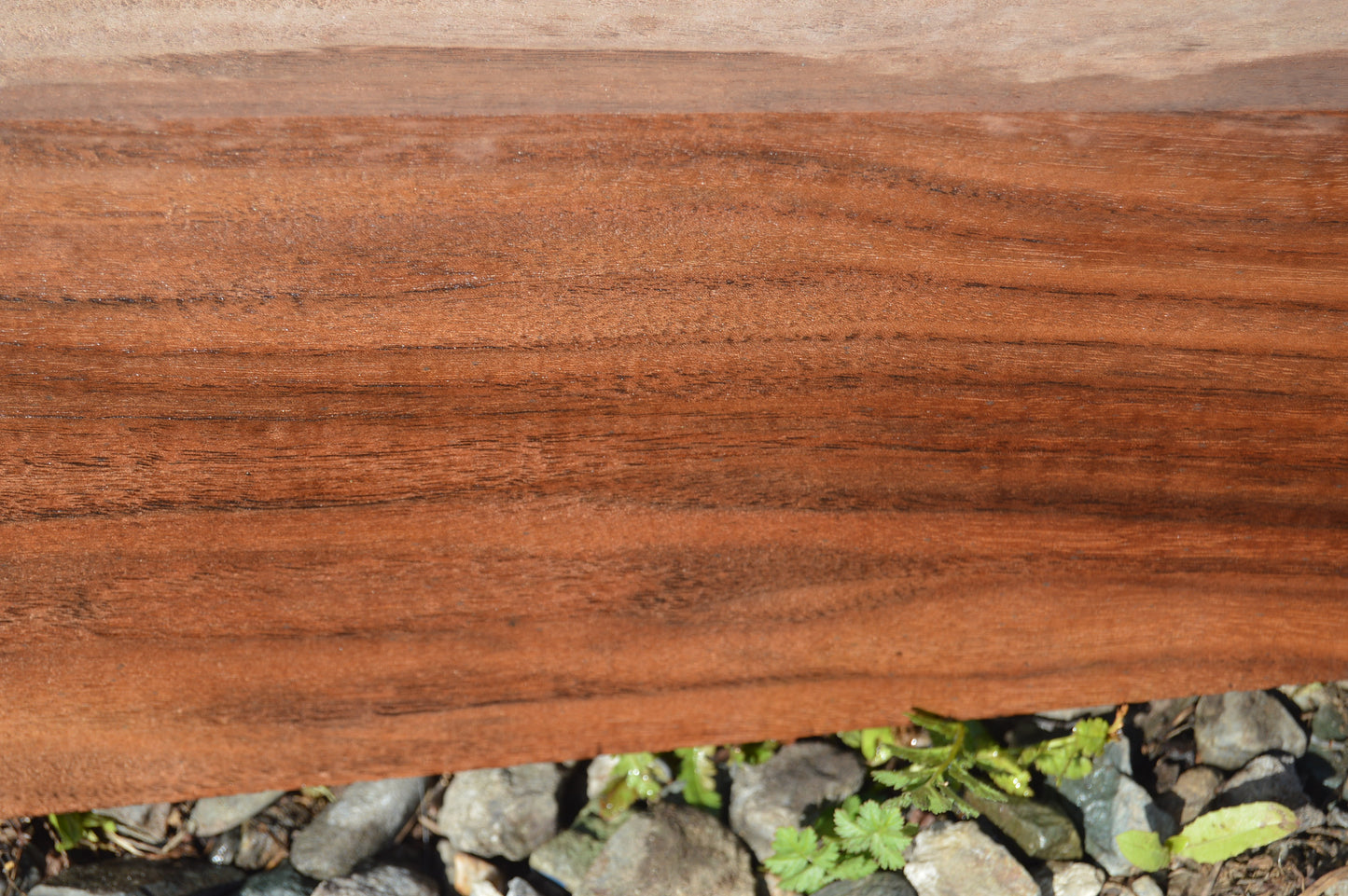 Claro Walnut Gunstock Blank CLAGUN29