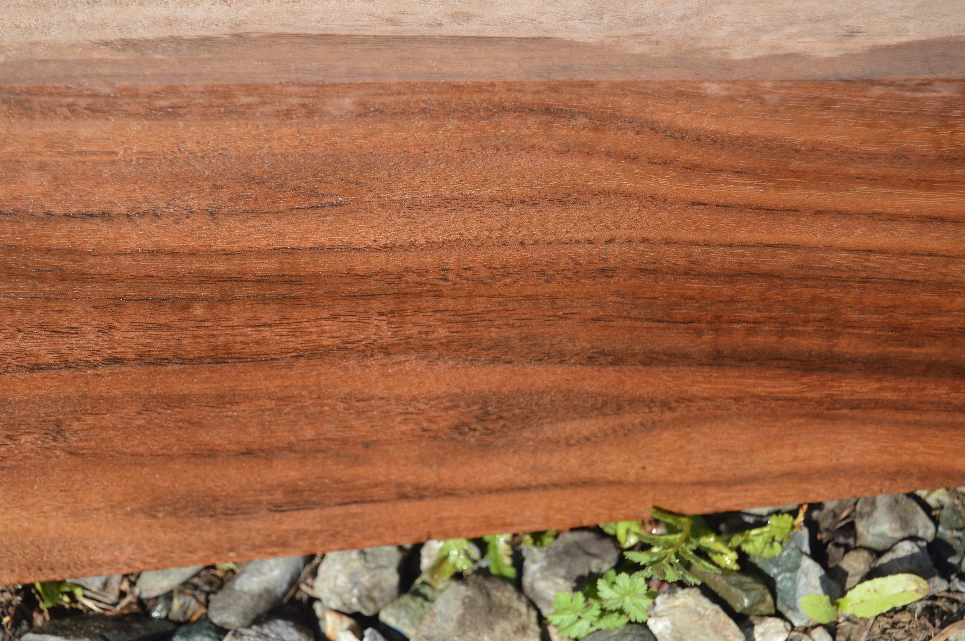 Claro Walnut Gunstock Blank CLAGUN29