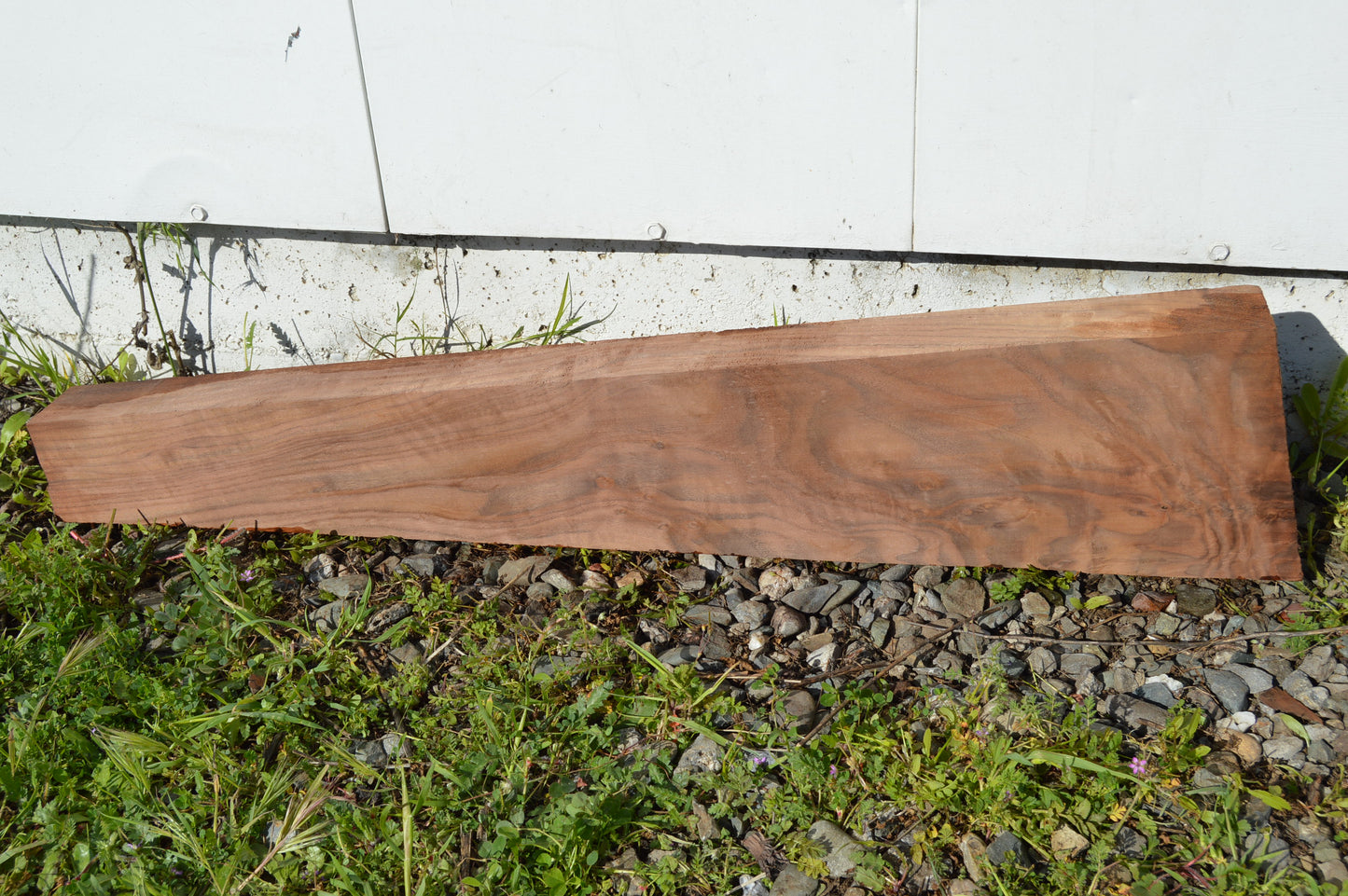 Claro Walnut Gunstock Blank CLAGUN29