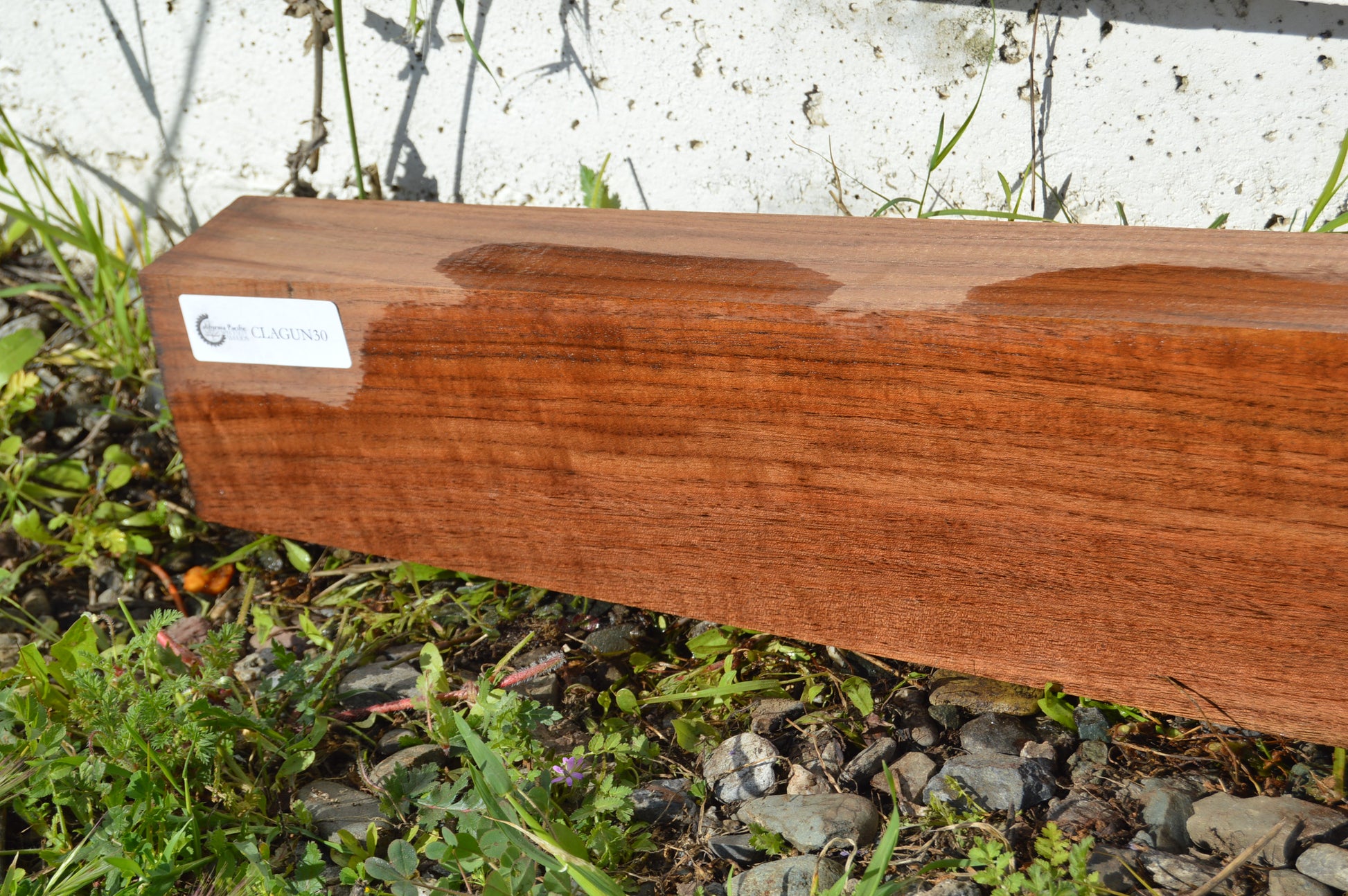 Claro Walnut Gunstock Blank CLAGUN30