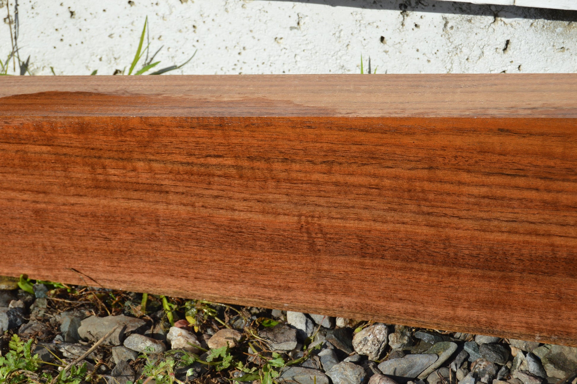 Claro Walnut Gunstock Blank CLAGUN30
