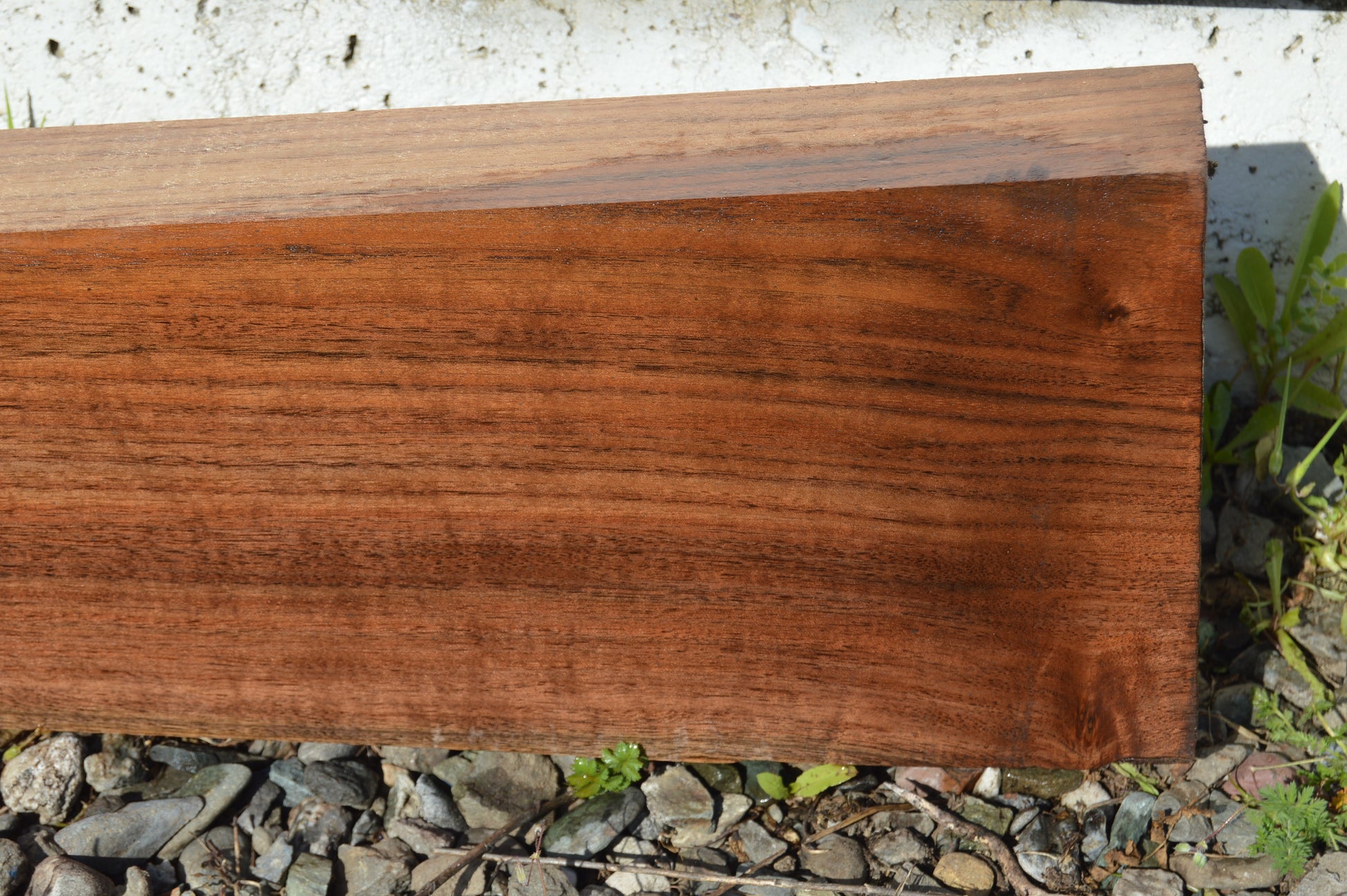Claro Walnut Gunstock Blank CLAGUN30