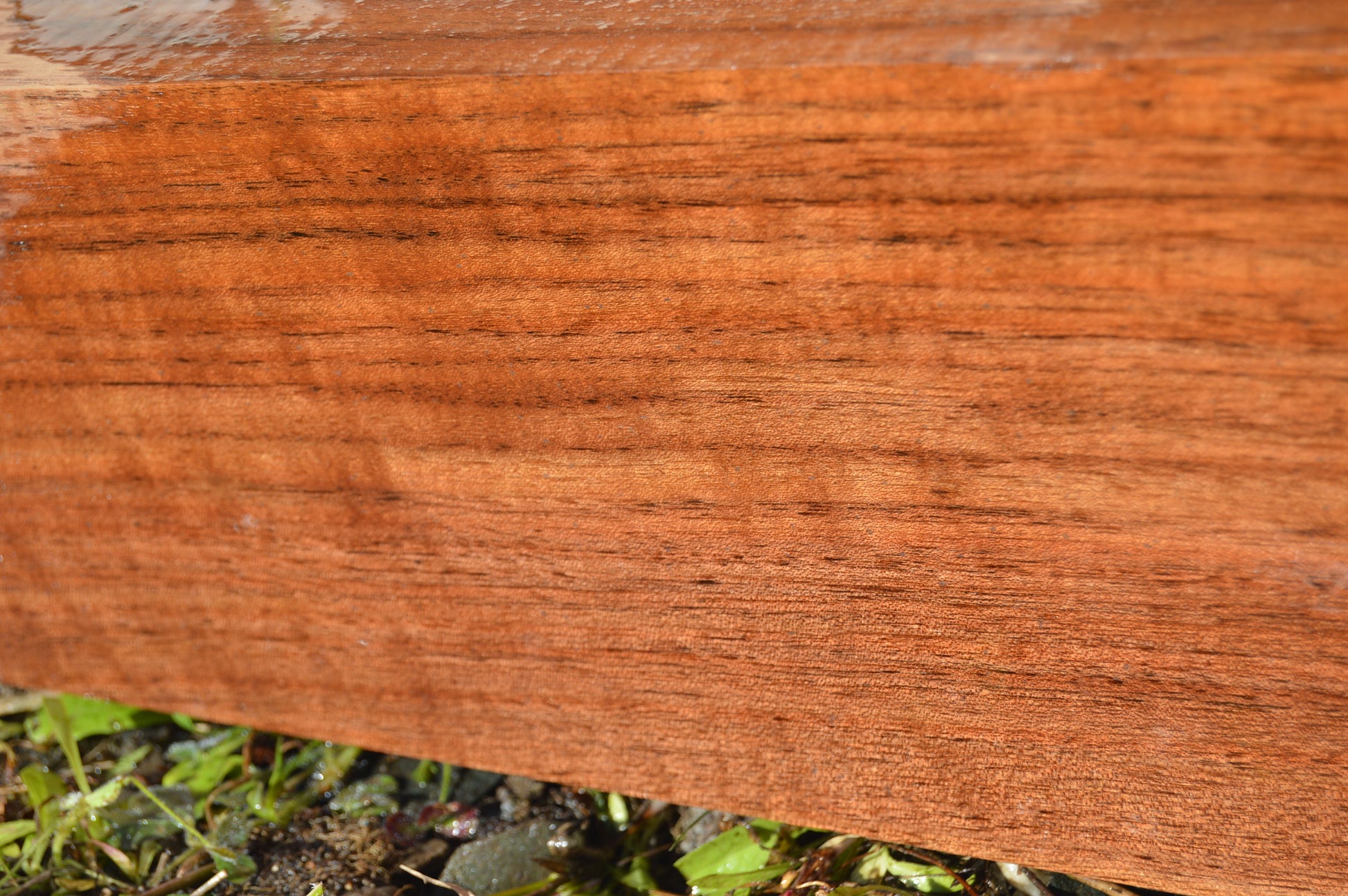 Claro Walnut Gunstock Blank CLAGUN30