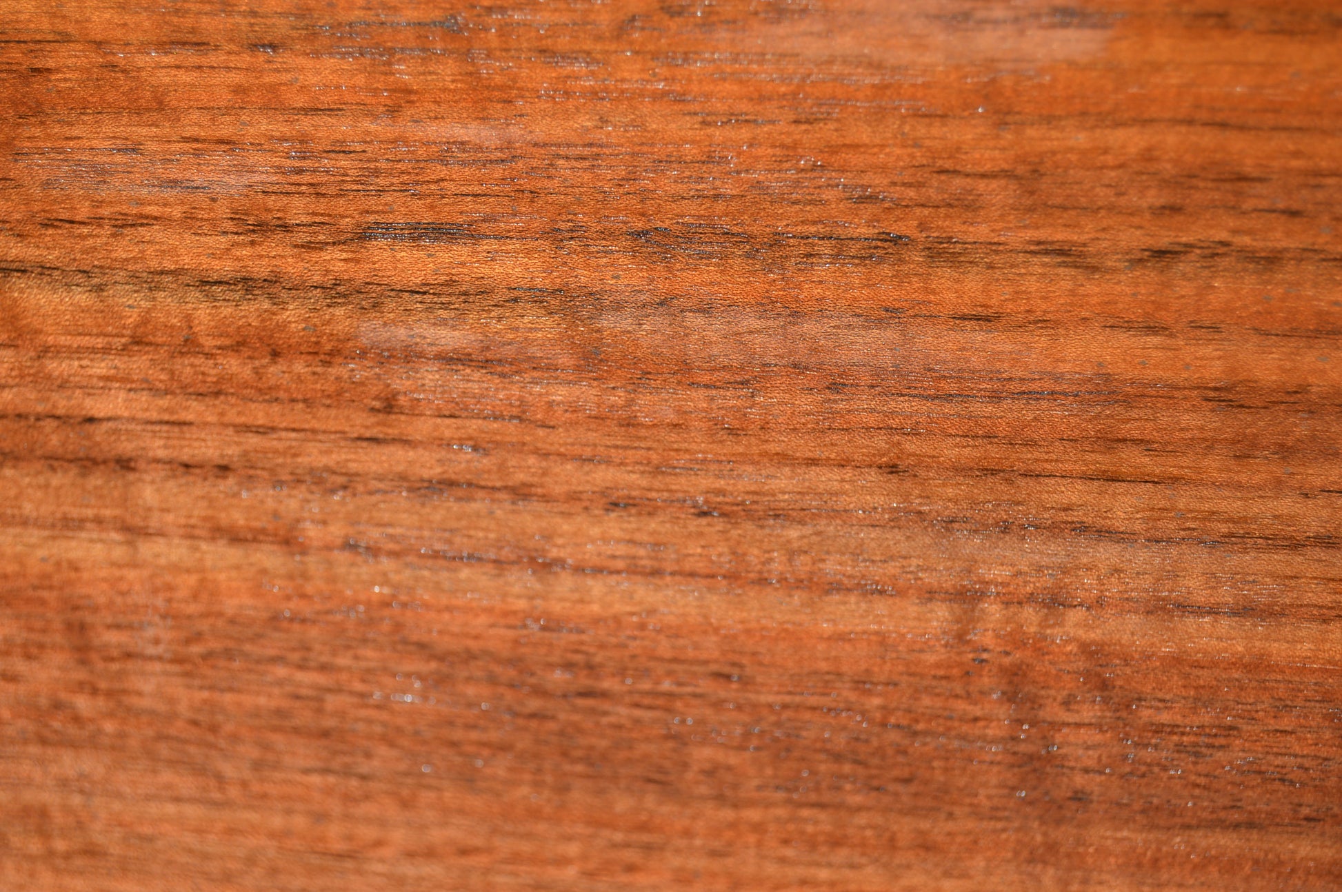 Claro Walnut Gunstock Blank CLAGUN30