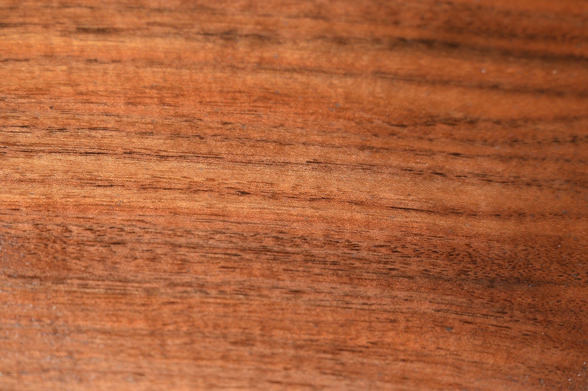 Claro Walnut Gunstock Blank CLAGUN30