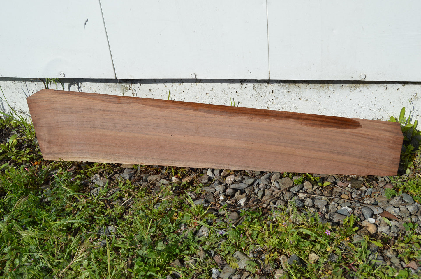 Claro Walnut Gunstock Blank CLAGUN30