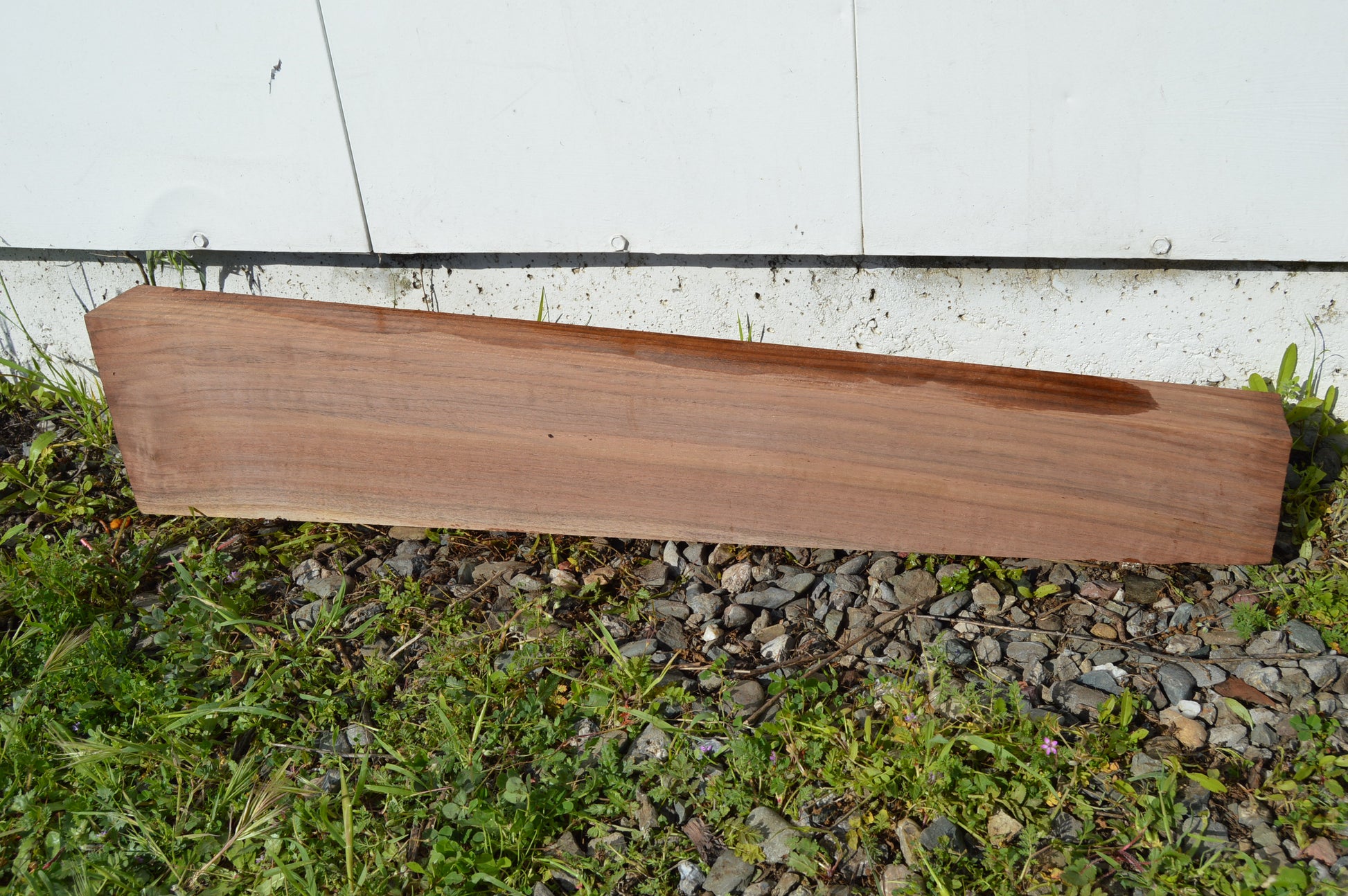 Claro Walnut Gunstock Blank CLAGUN30