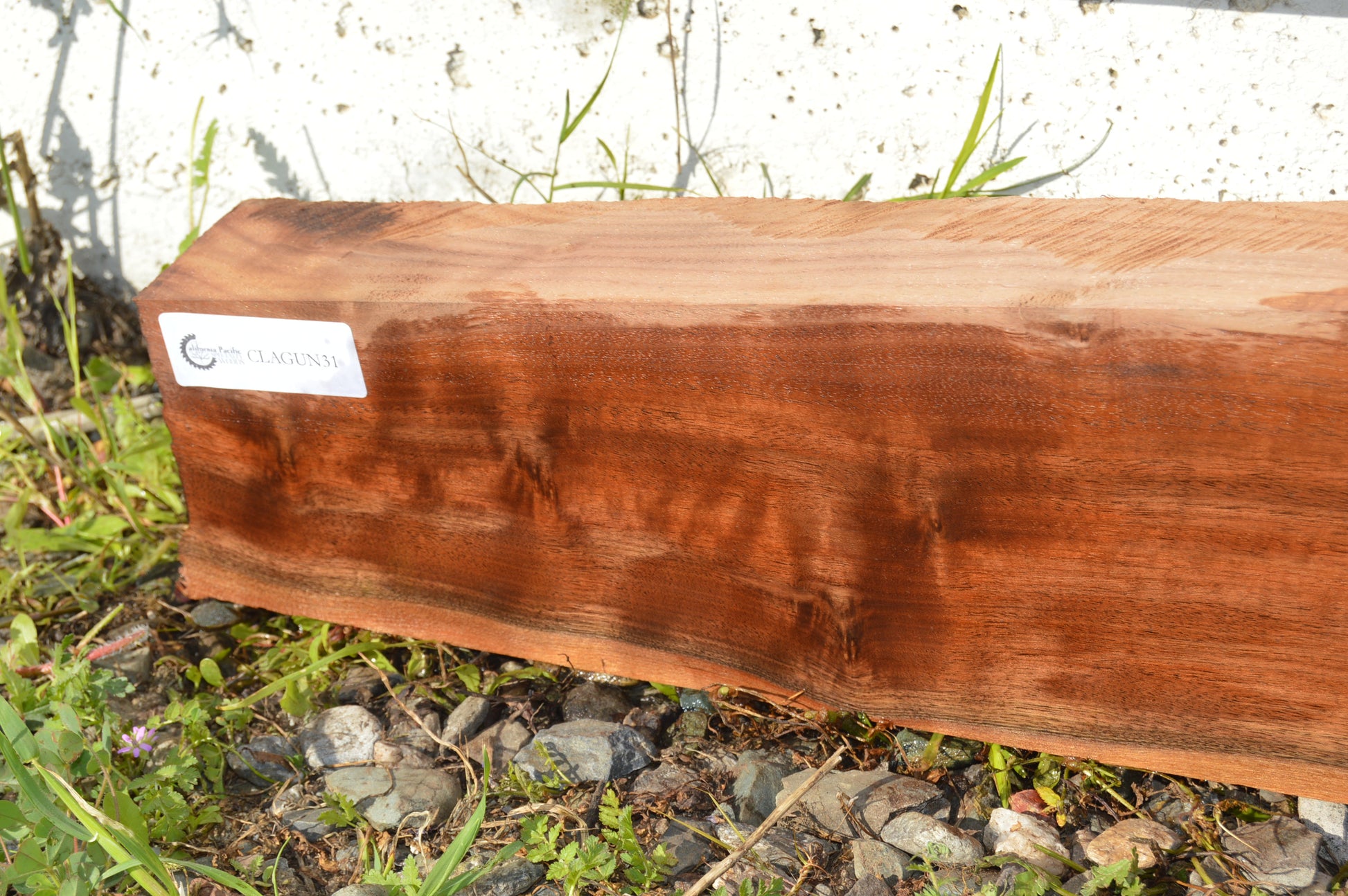 Claro Walnut Gunstock Blank CLAGUN31