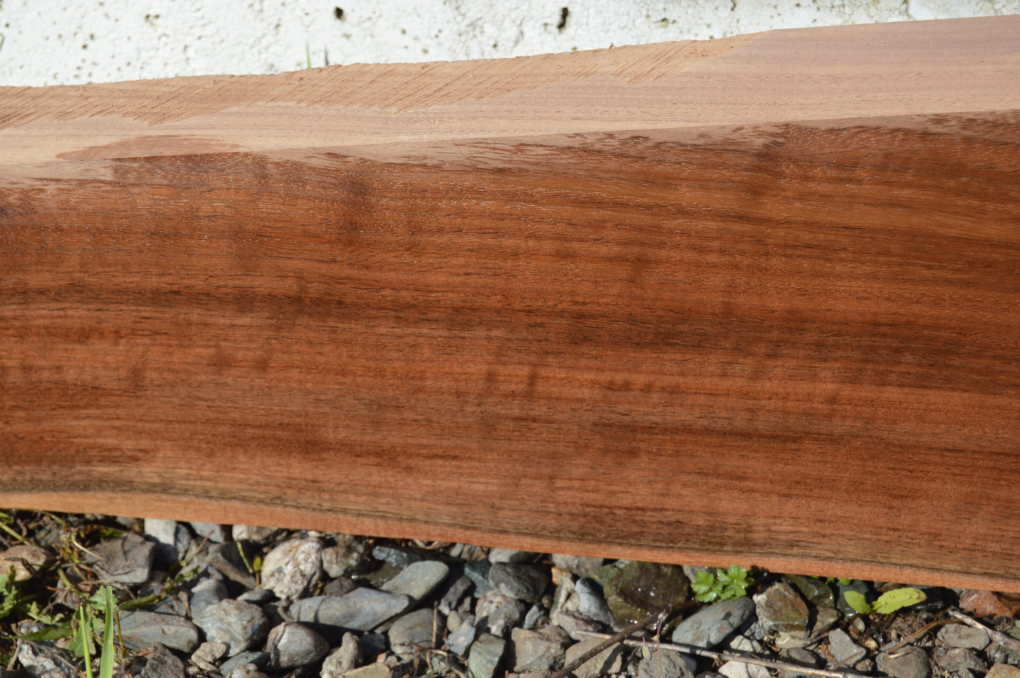 Claro Walnut Gunstock Blank CLAGUN31