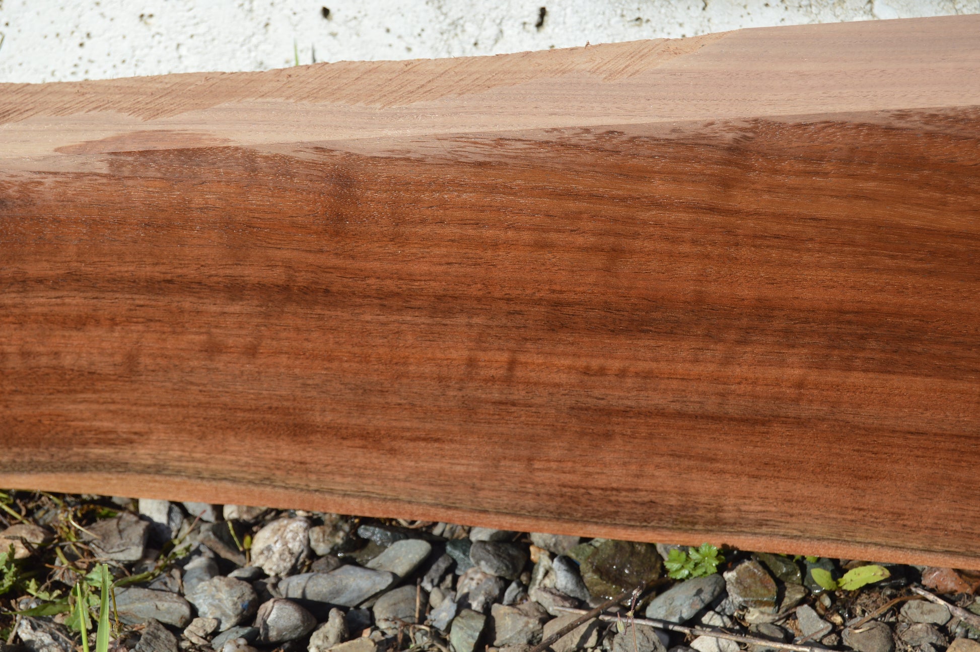 Claro Walnut Gunstock Blank CLAGUN31
