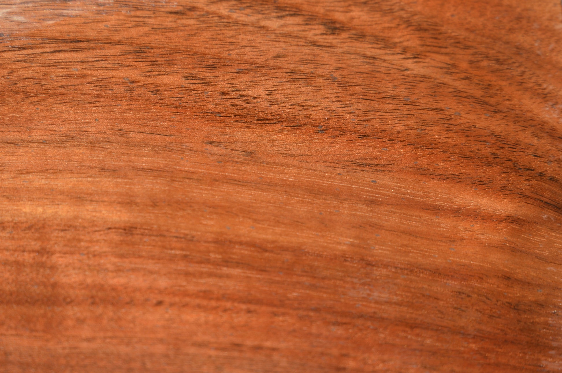 Claro Walnut Gunstock Blank CLAGUN31