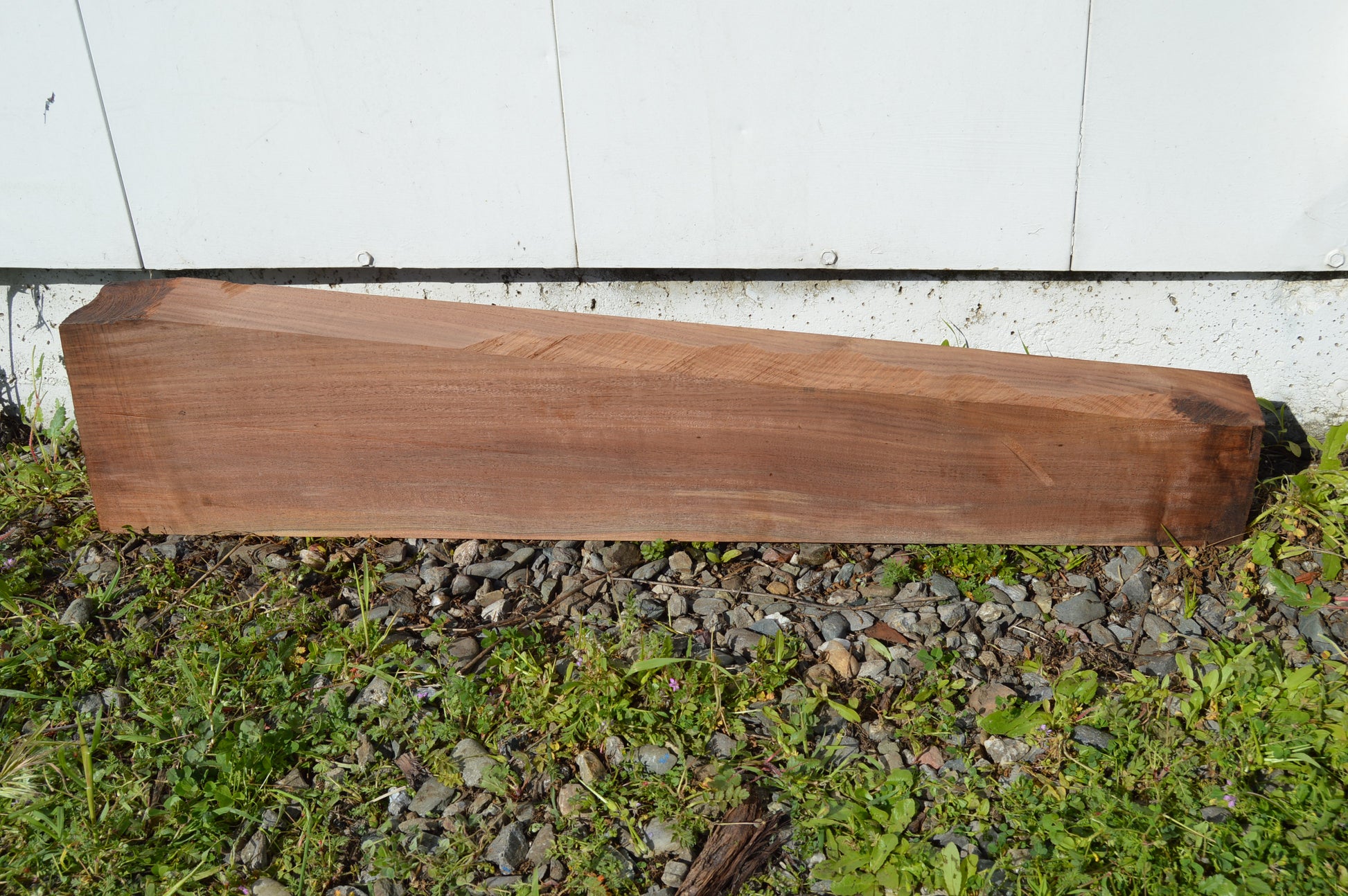 Claro Walnut Gunstock Blank CLAGUN31