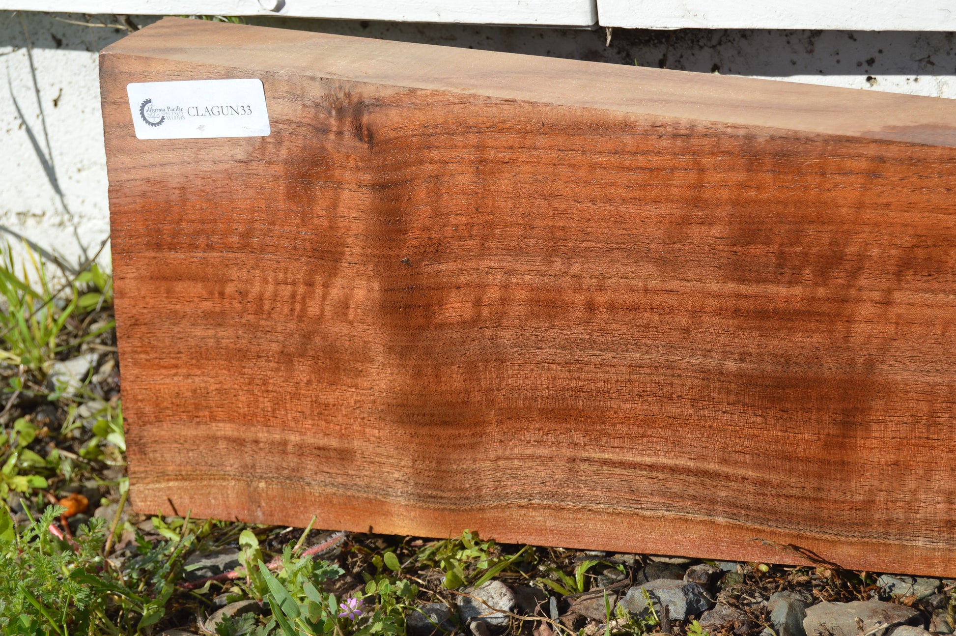 Claro Walnut Gunstock Blanks CLAGUN33