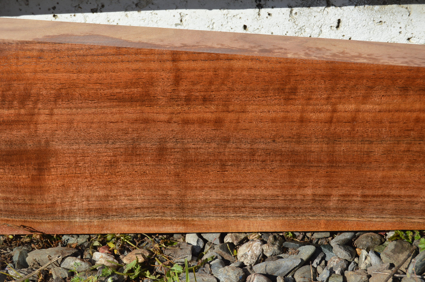 Claro Walnut Gunstock Blanks CLAGUN33