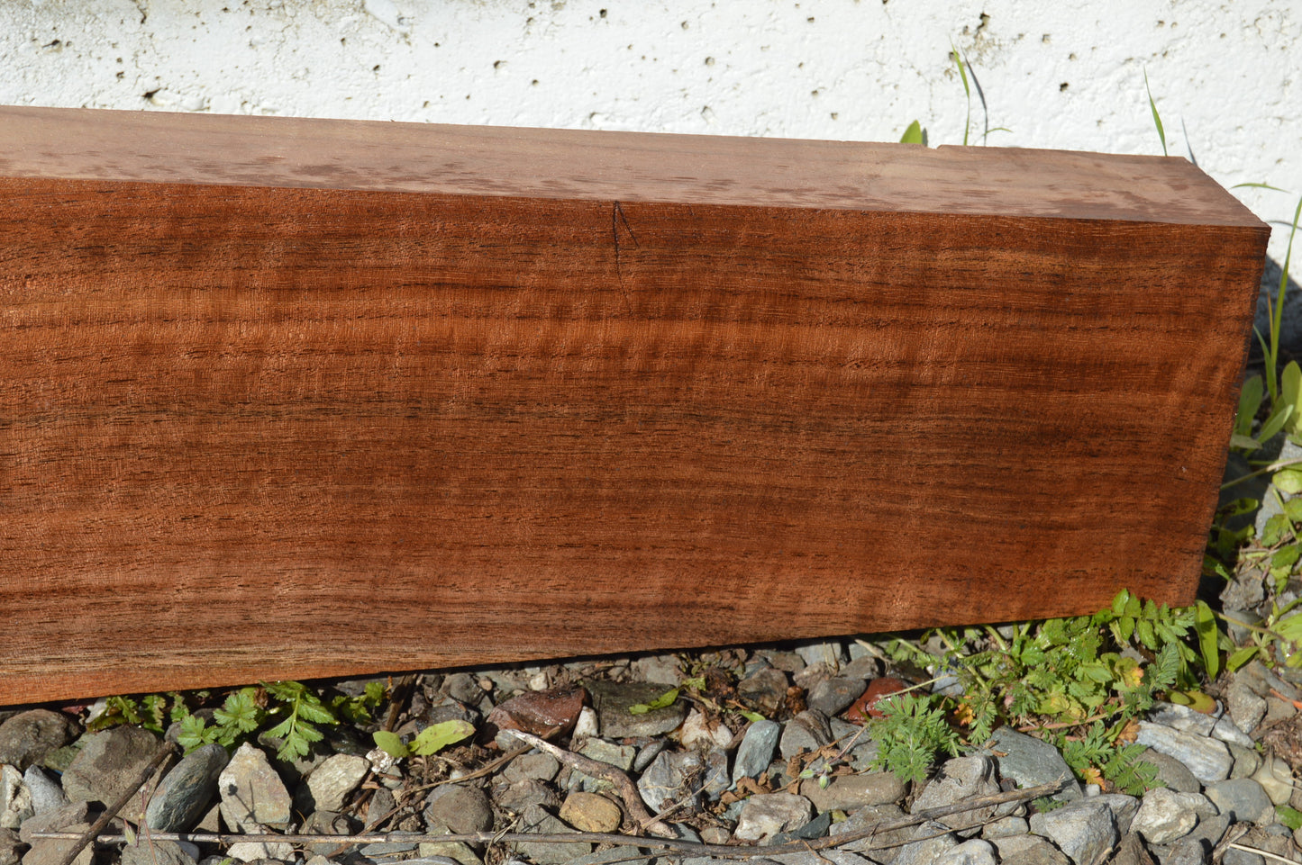 Claro Walnut Gunstock Blanks CLAGUN33