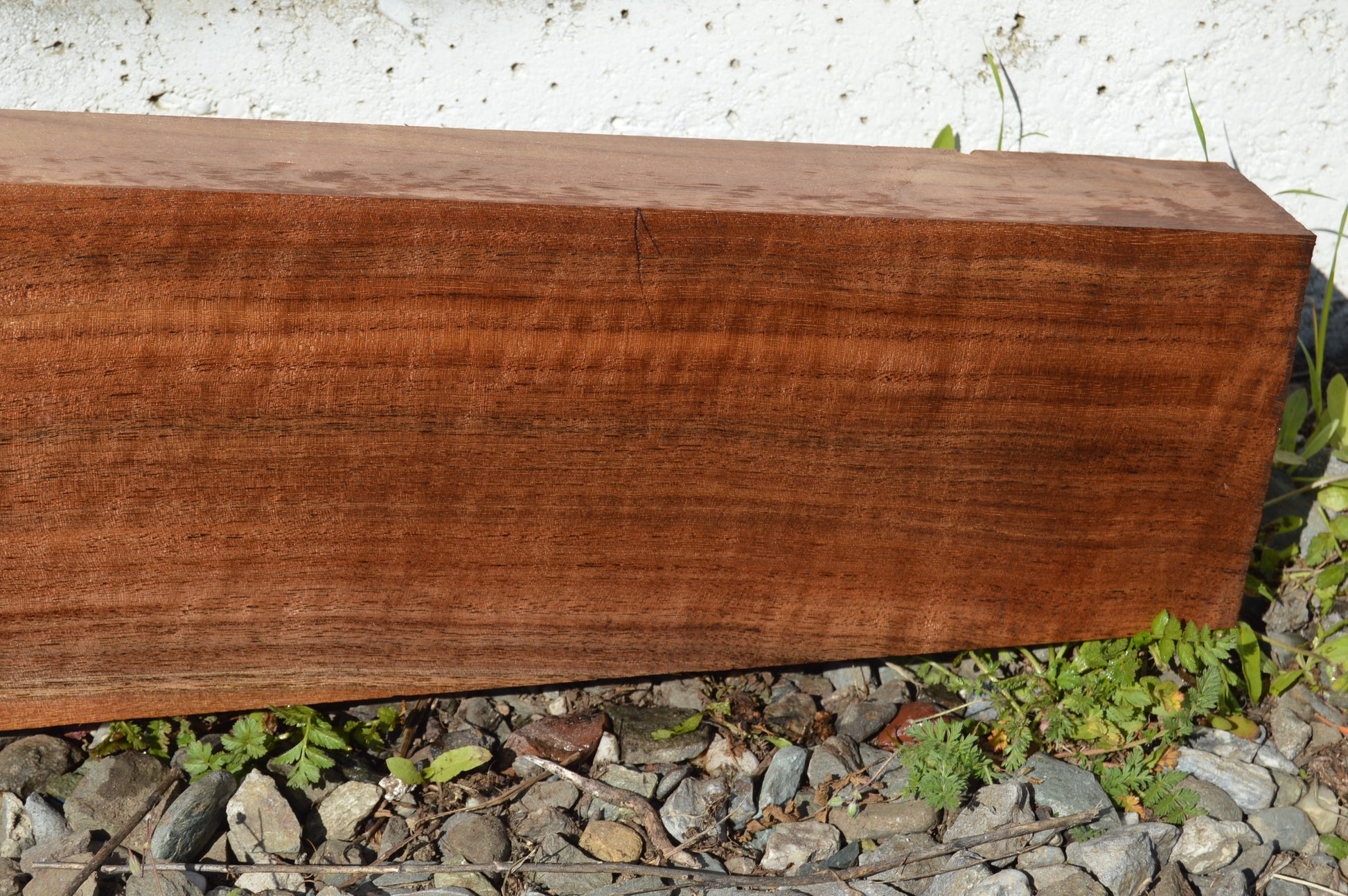 Claro Walnut Gunstock Blanks CLAGUN33