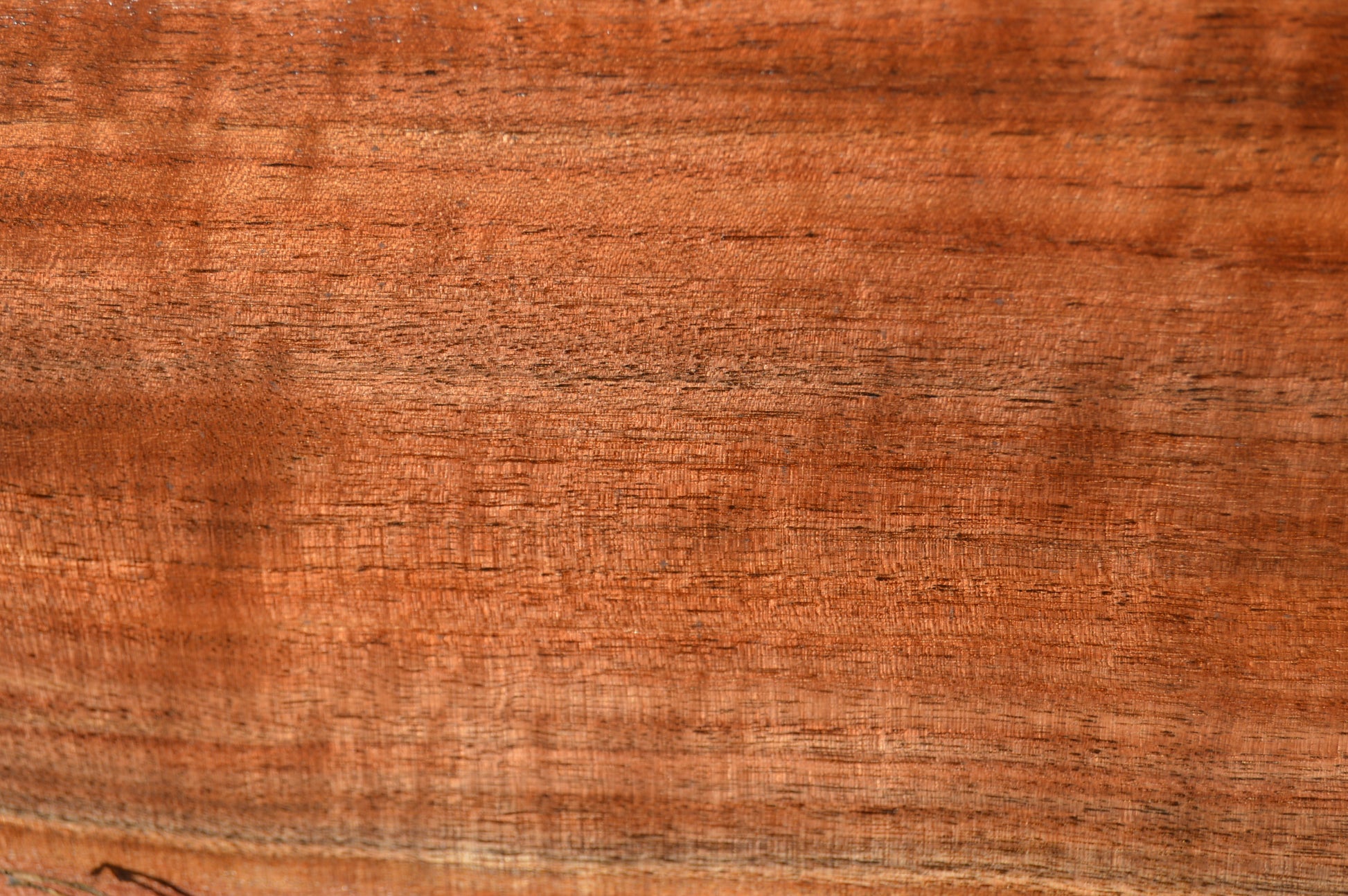 Claro Walnut Gunstock Blanks CLAGUN33