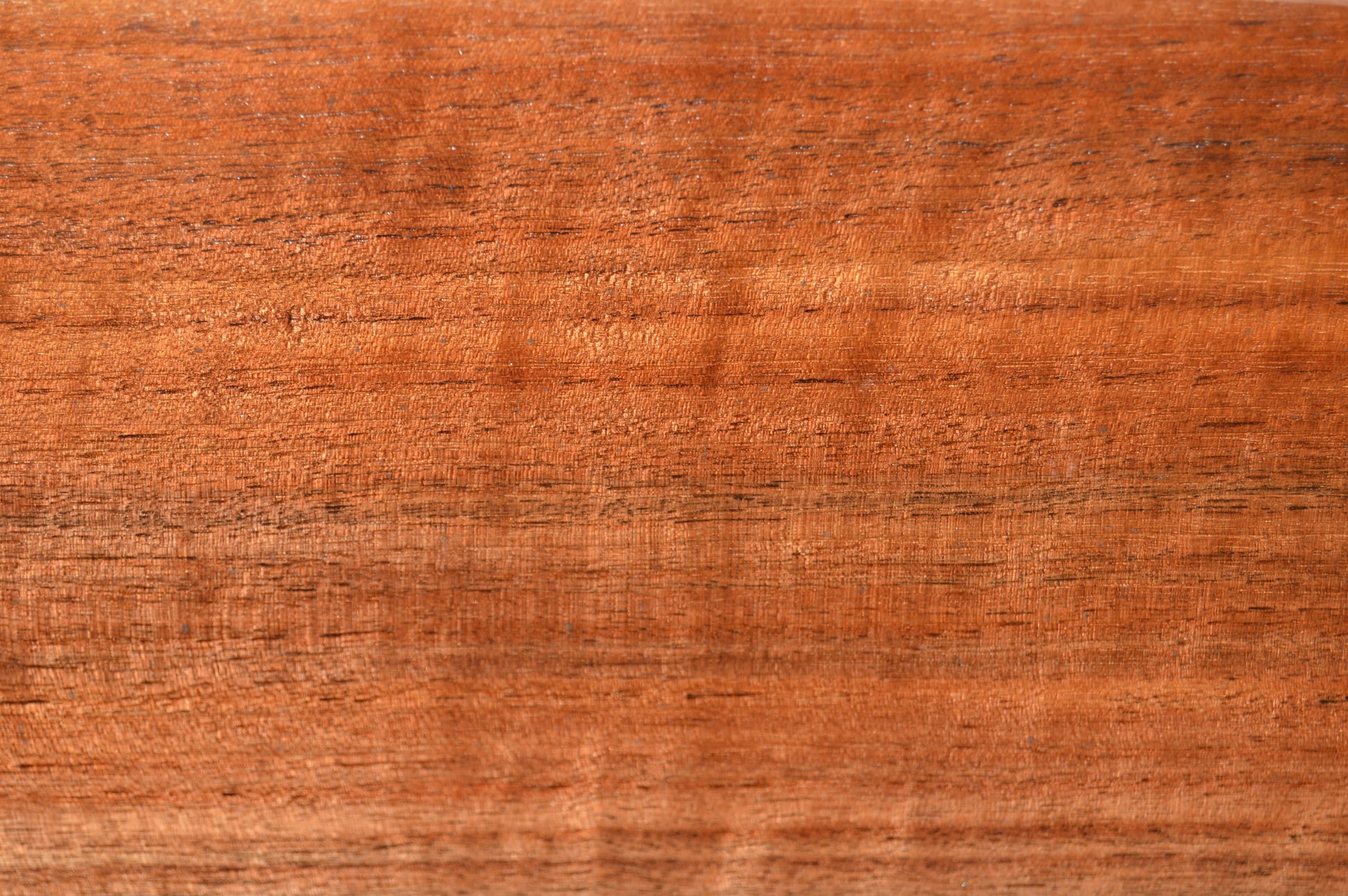 Claro Walnut Gunstock Blanks CLAGUN33