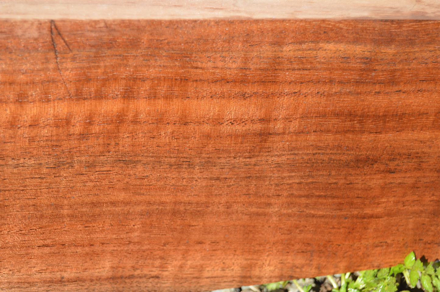 Claro Walnut Gunstock Blanks CLAGUN33
