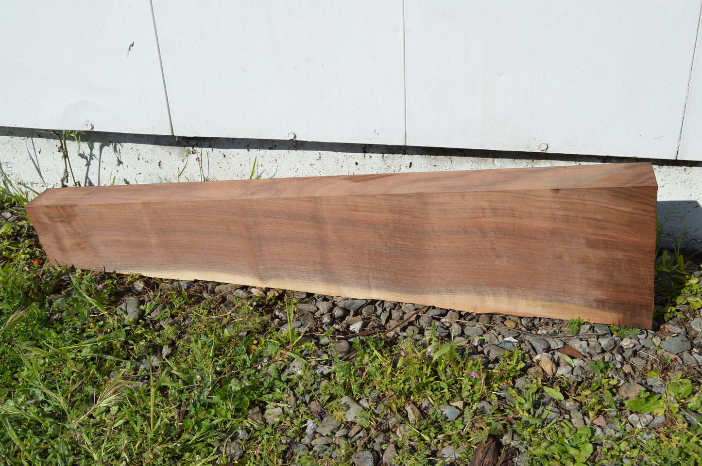 Claro Walnut Gunstock Blanks CLAGUN33