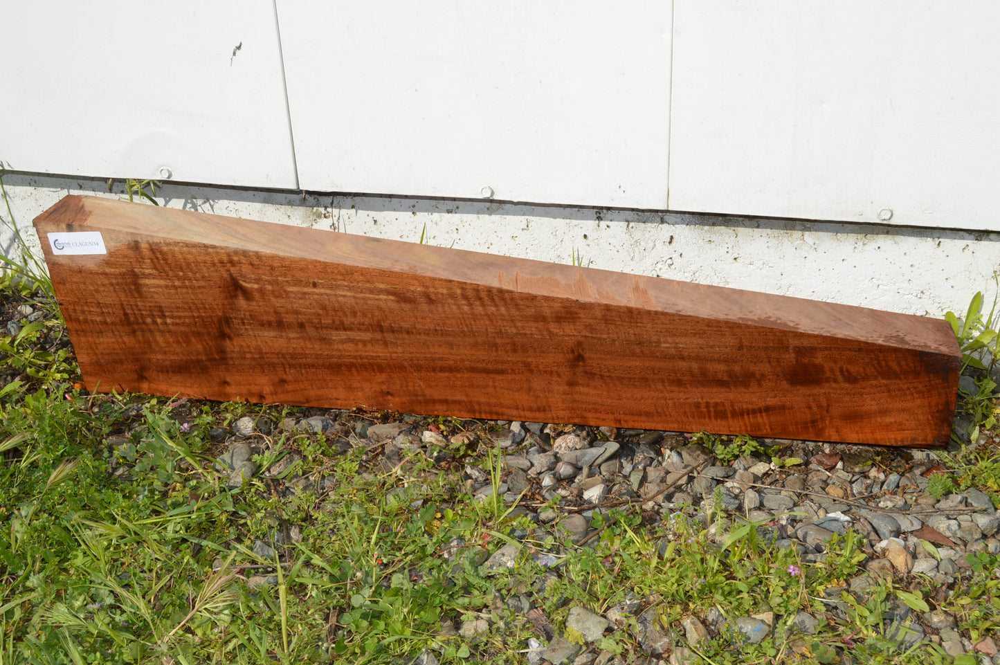 Claro Walnut Gunstock Blanks CLAGUN34