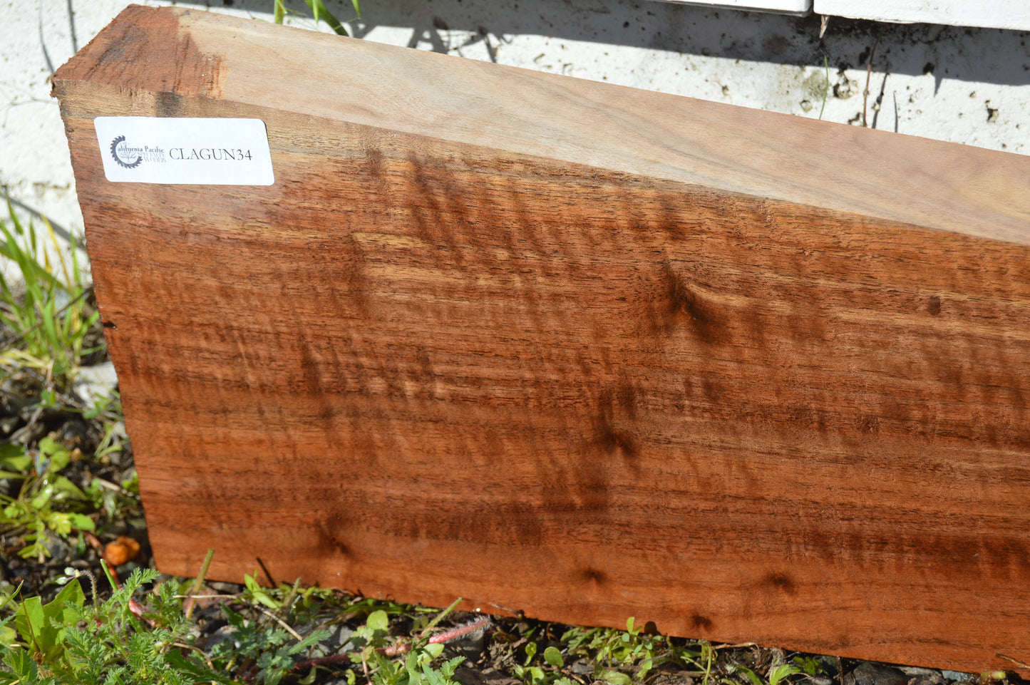 Claro Walnut Gunstock Blanks CLAGUN34