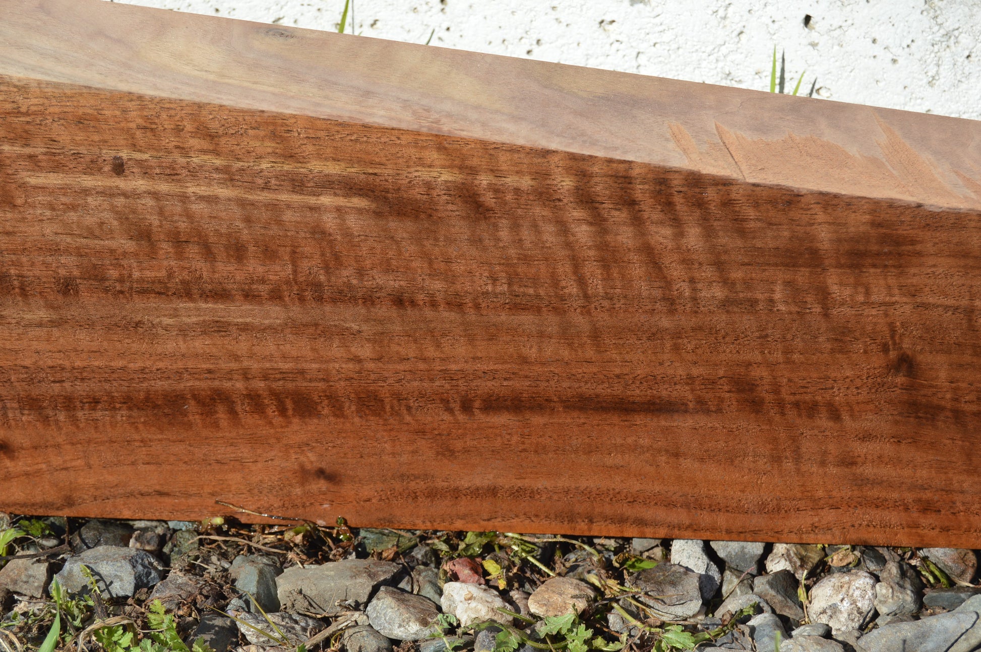 Claro Walnut Gunstock Blanks CLAGUN34