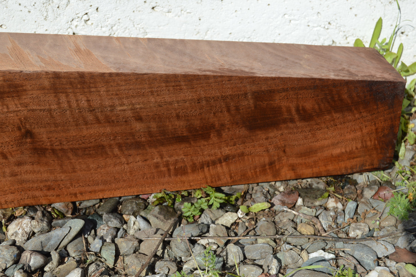 Claro Walnut Gunstock Blanks CLAGUN34