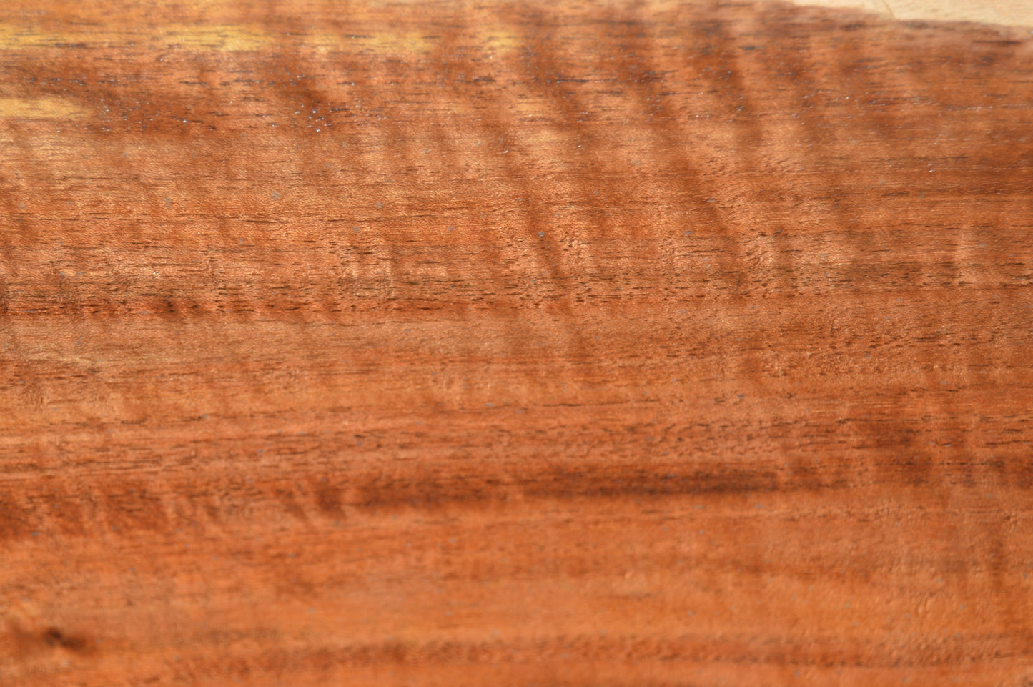 Claro Walnut Gunstock Blanks CLAGUN34