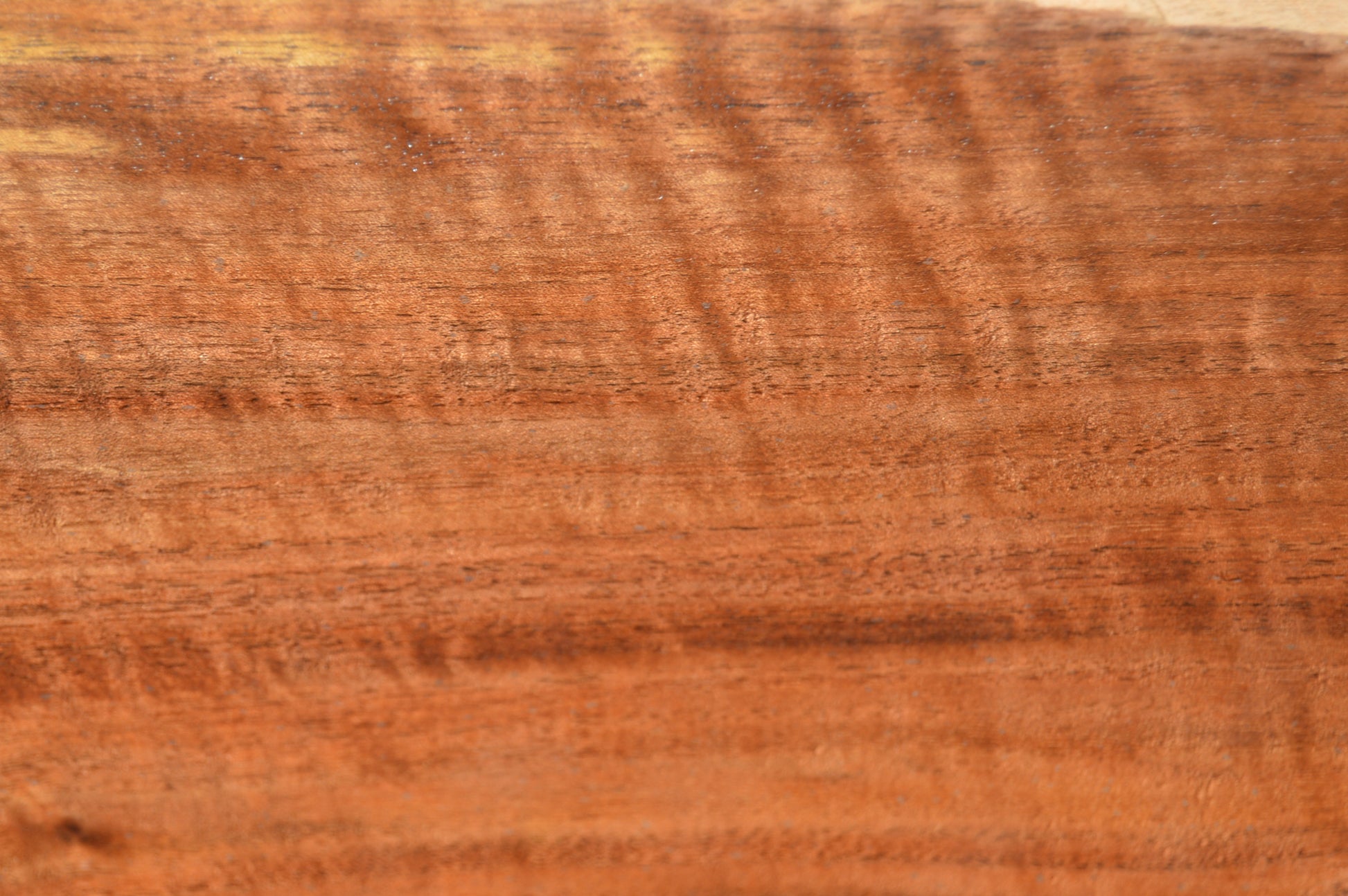 Claro Walnut Gunstock Blanks CLAGUN34