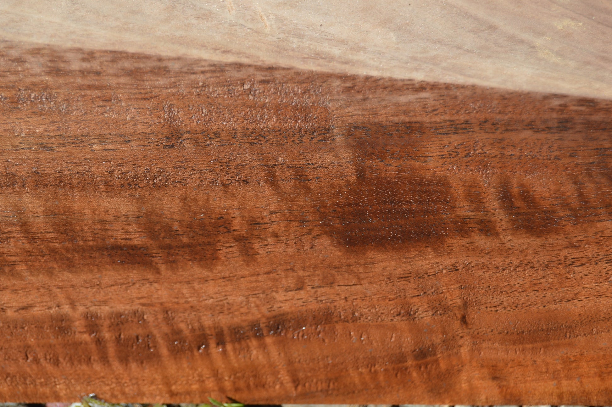 Claro Walnut Gunstock Blanks CLAGUN34