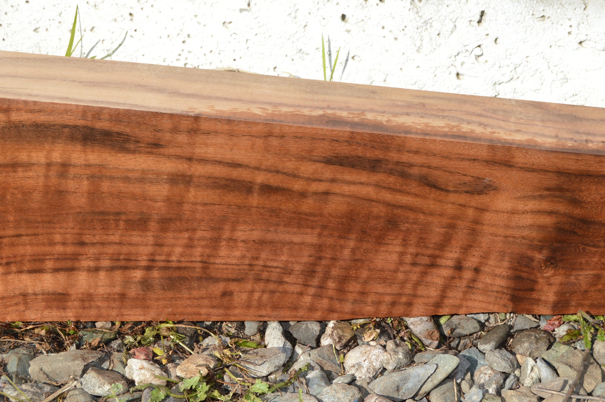 Claro Walnut Gunstock Blanks CLAGUN35