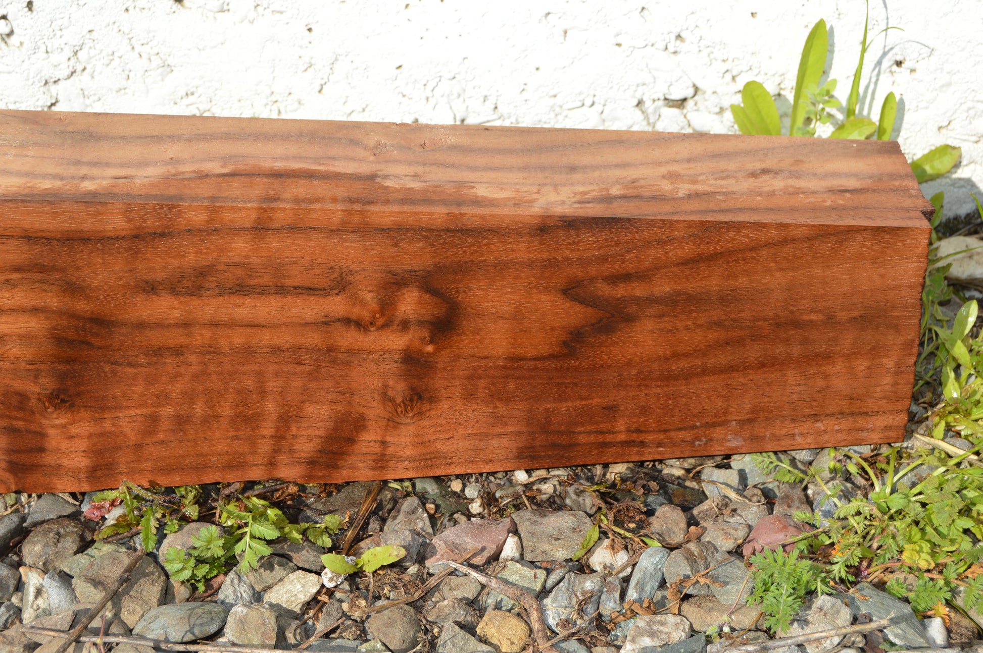 Claro Walnut Gunstock Blanks CLAGUN35