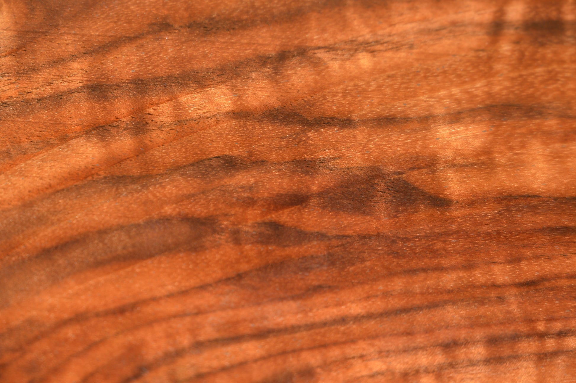 Claro Walnut Gunstock Blanks CLAGUN35