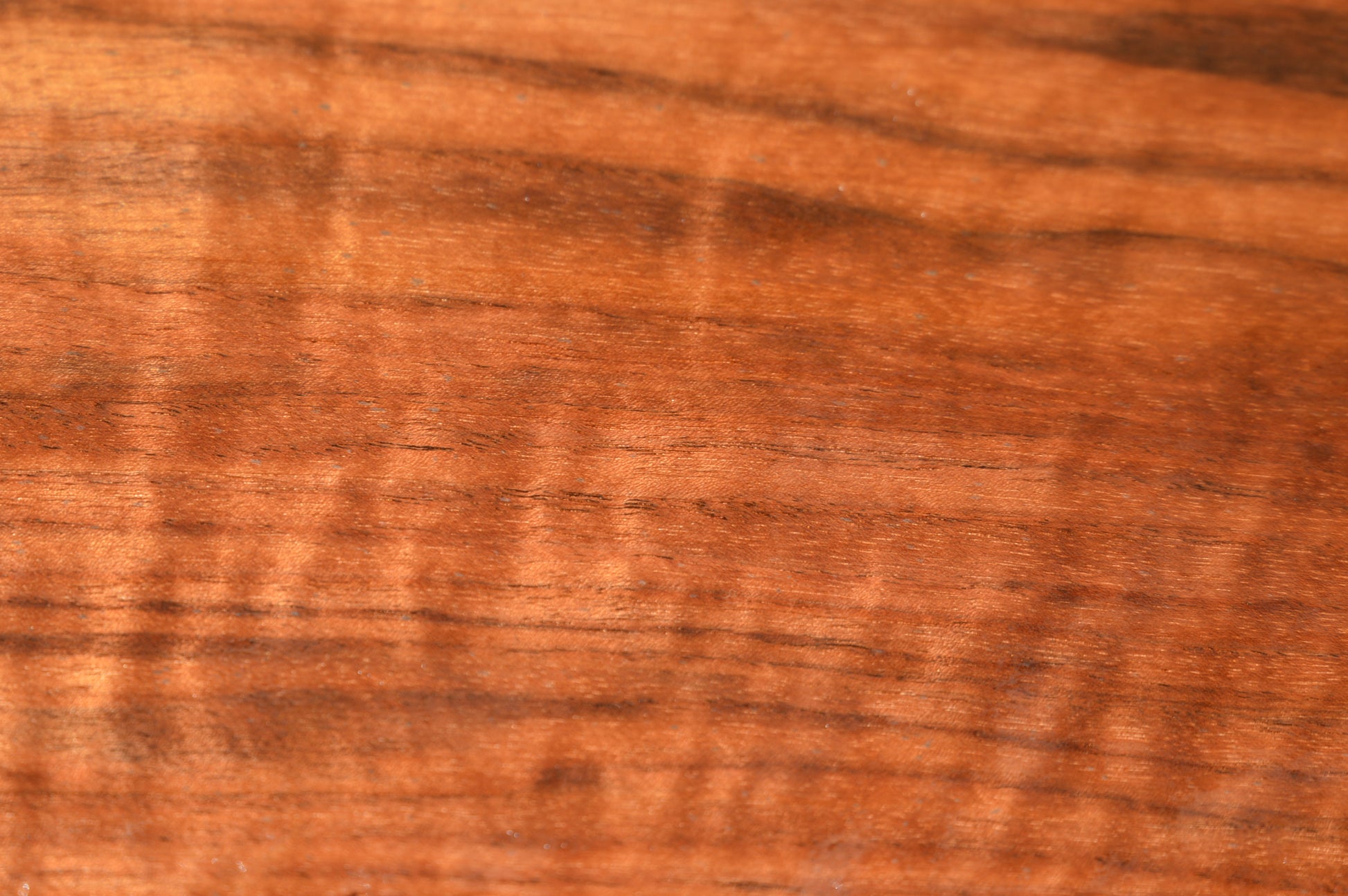 Claro Walnut Gunstock Blanks CLAGUN35