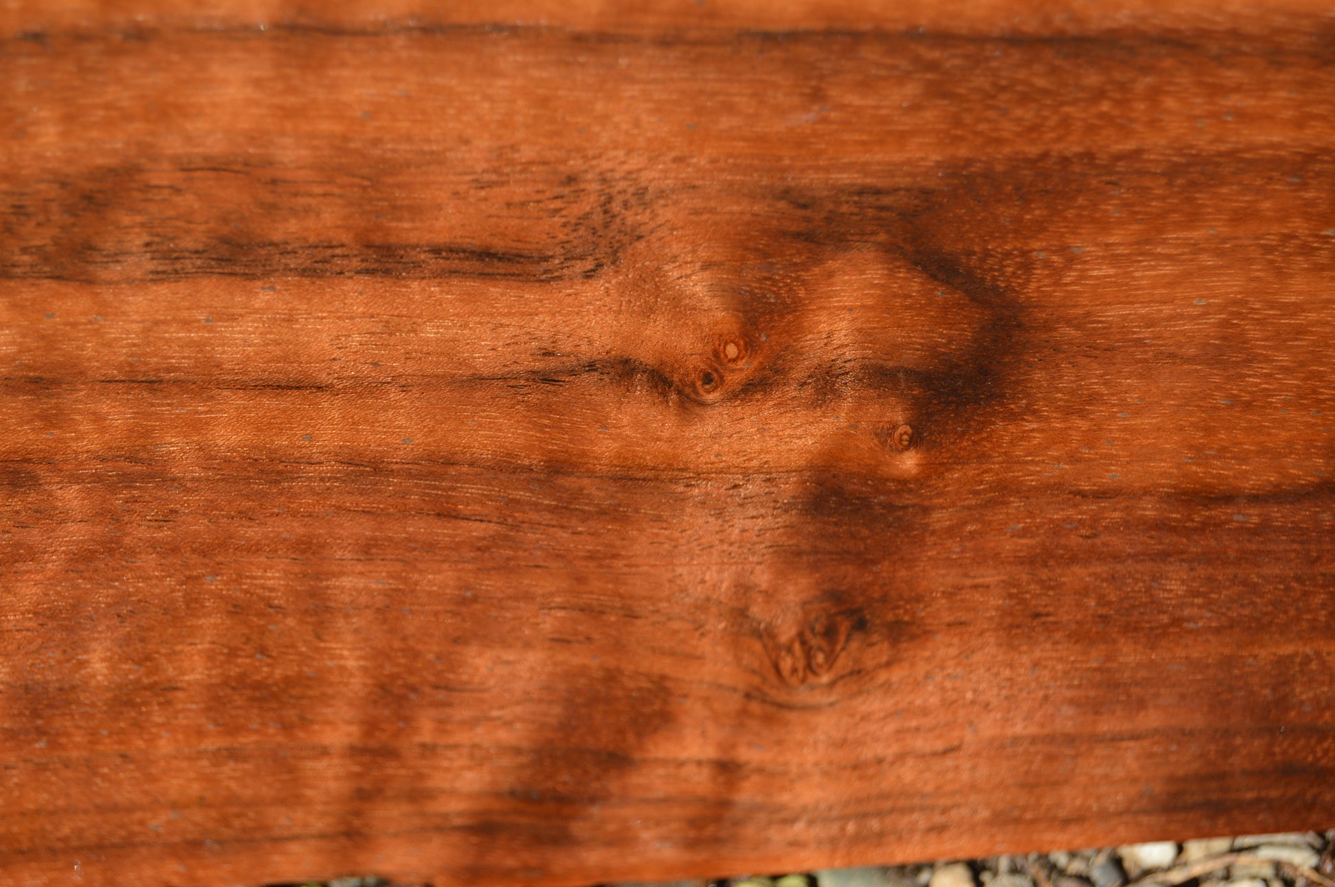 Claro Walnut Gunstock Blanks CLAGUN35