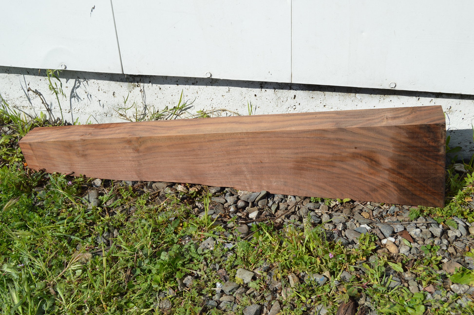 Claro Walnut Gunstock Blanks CLAGUN35