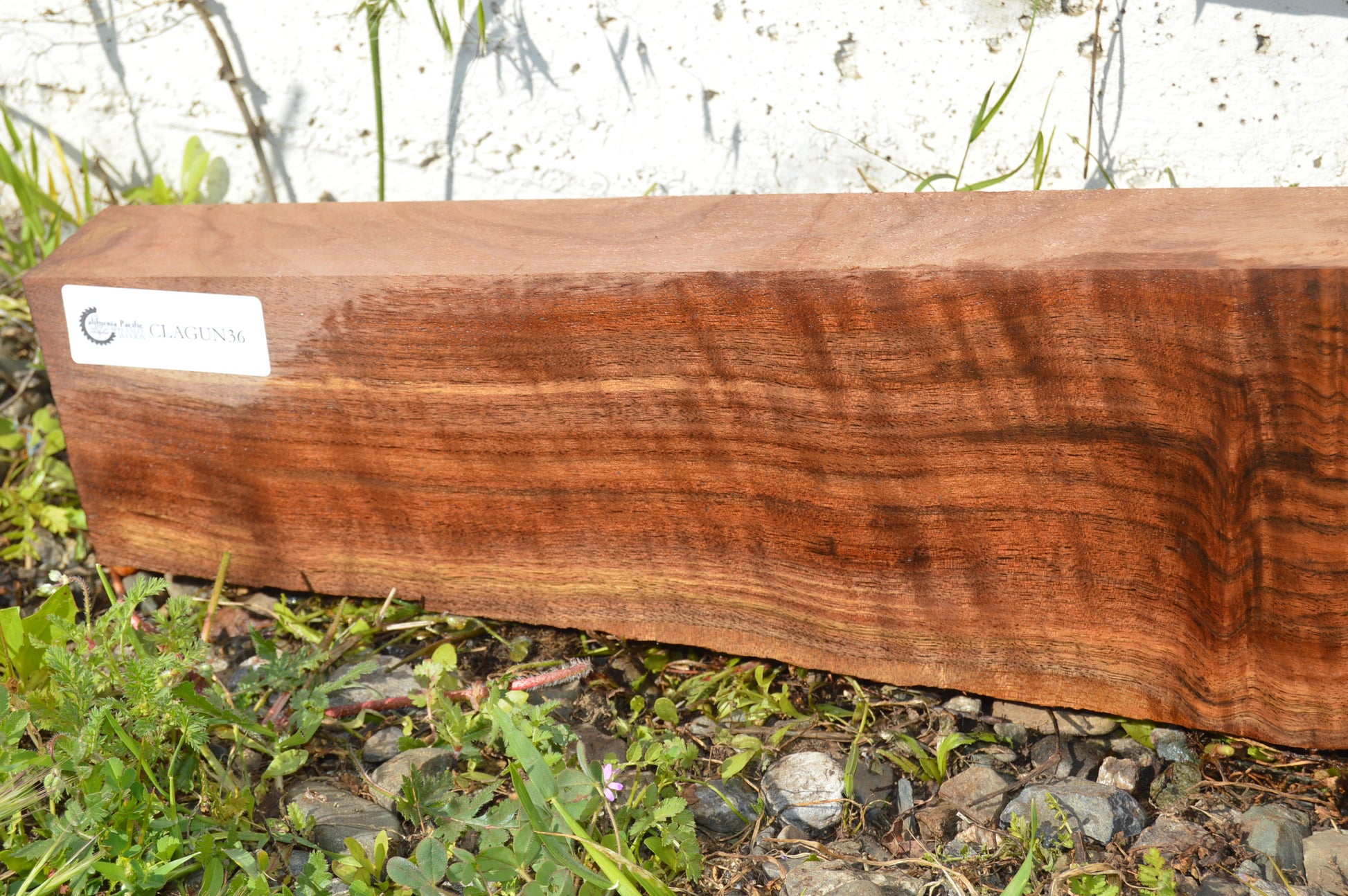 Claro Walnut Gunstock Blanks CLAGUN36