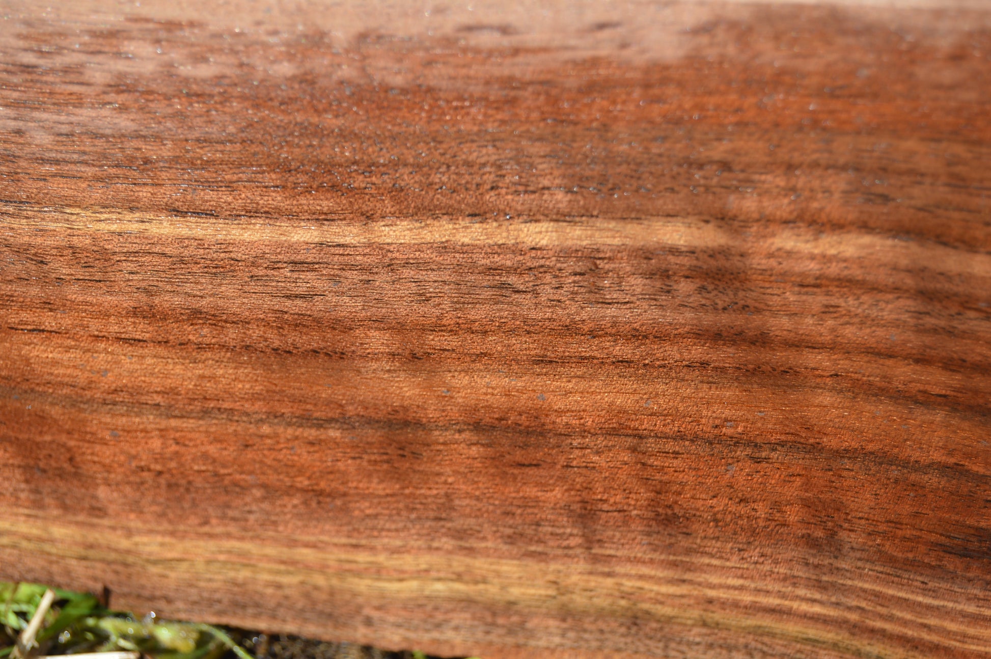 Claro Walnut Gunstock Blanks CLAGUN36