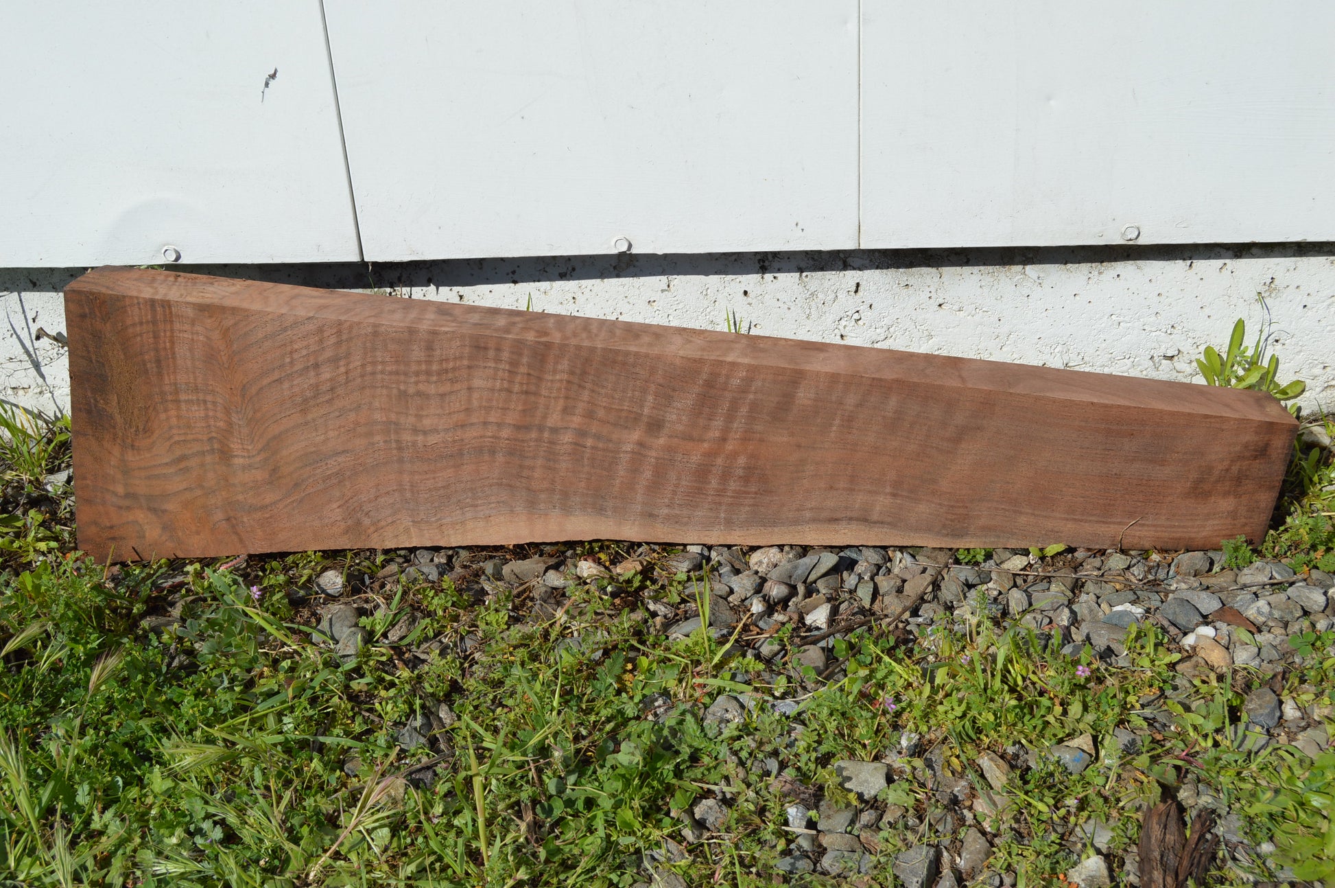 Claro Walnut Gunstock Blanks CLAGUN36